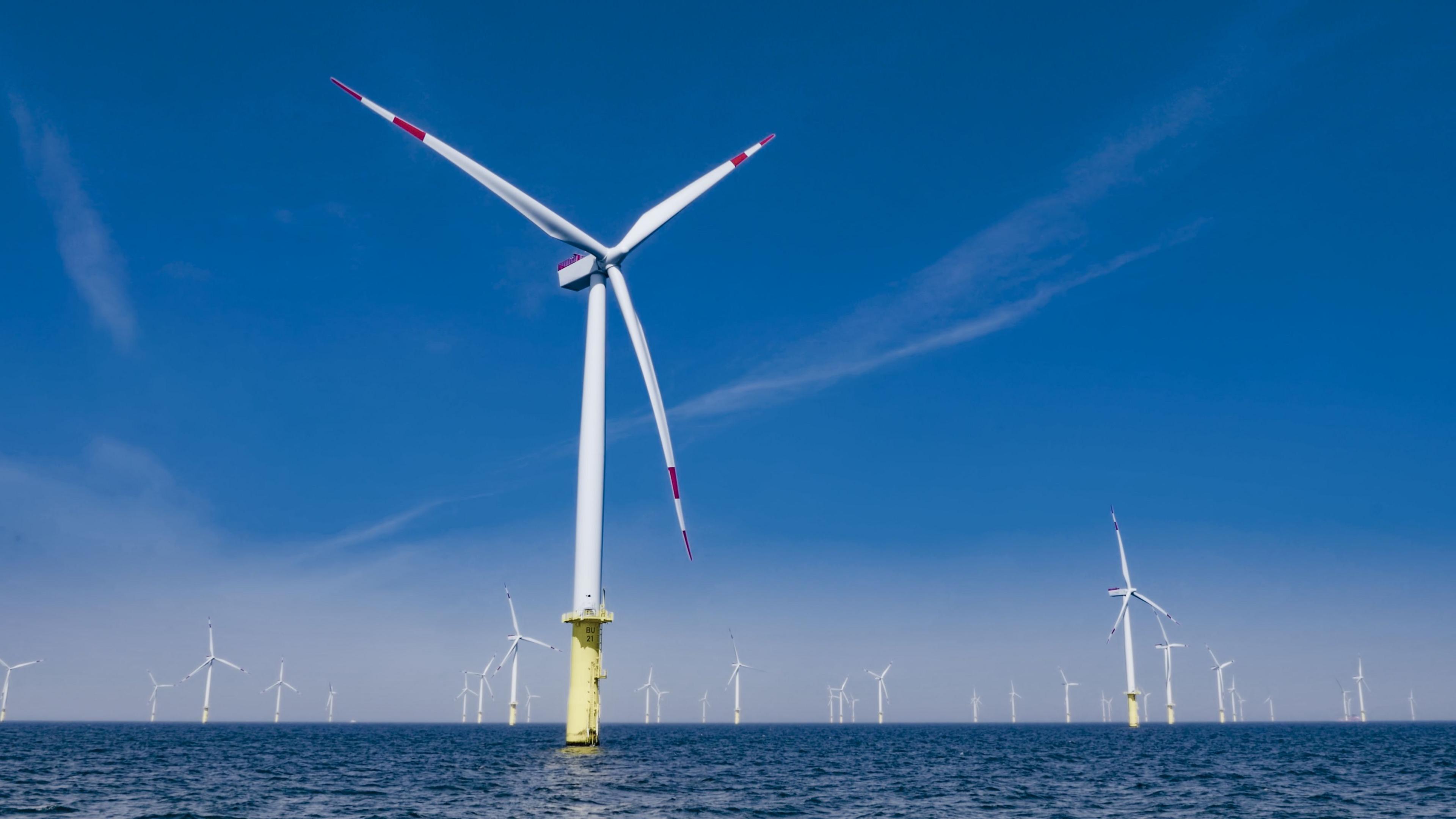 A massive wind turbine in the middle of the sea, photographed on a sunny day with clear blue skies. In the background you can see around 30 more, stretching into the horizon.