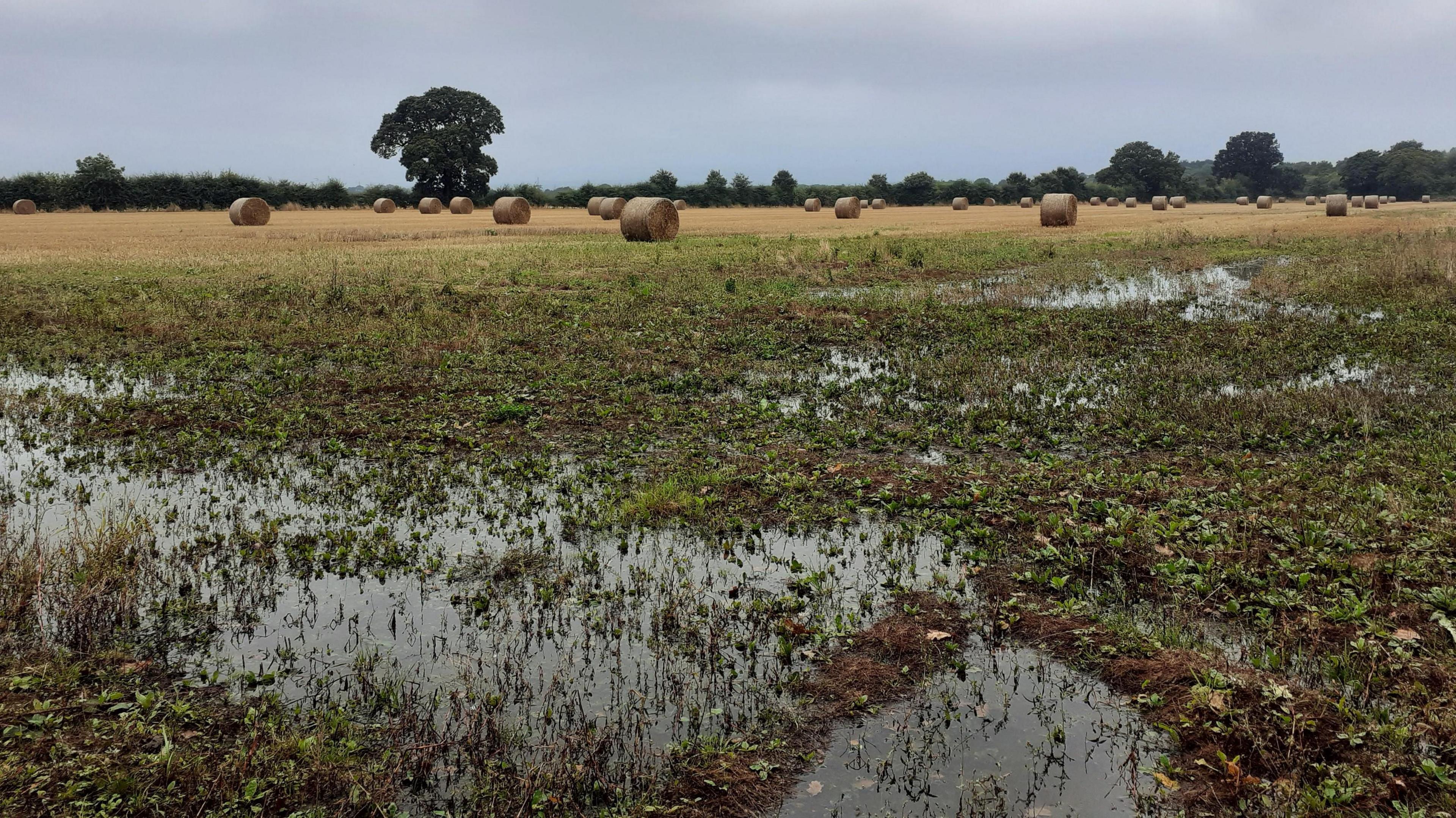 Boggy land following floods in England