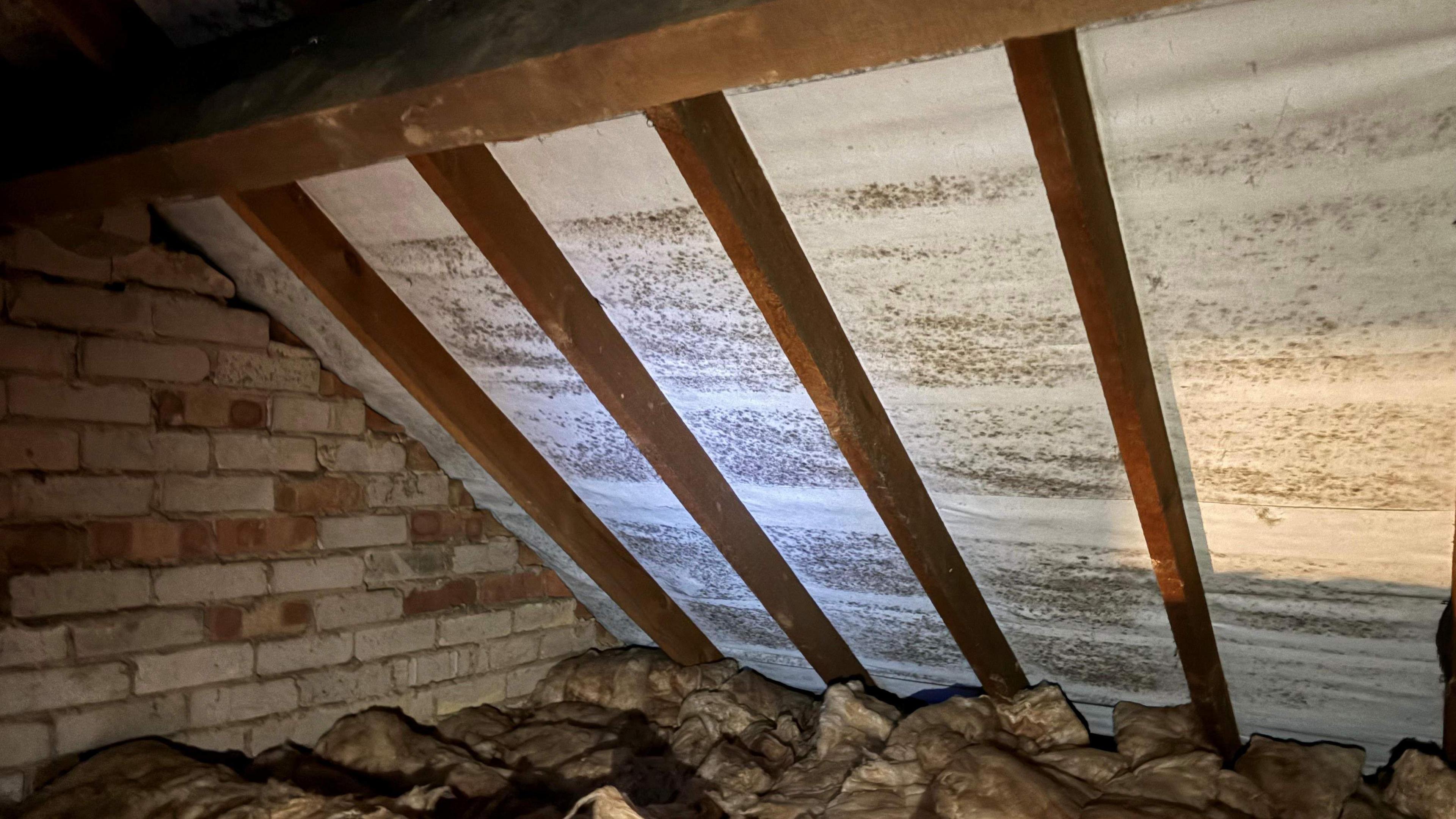 Black mould inside a roof