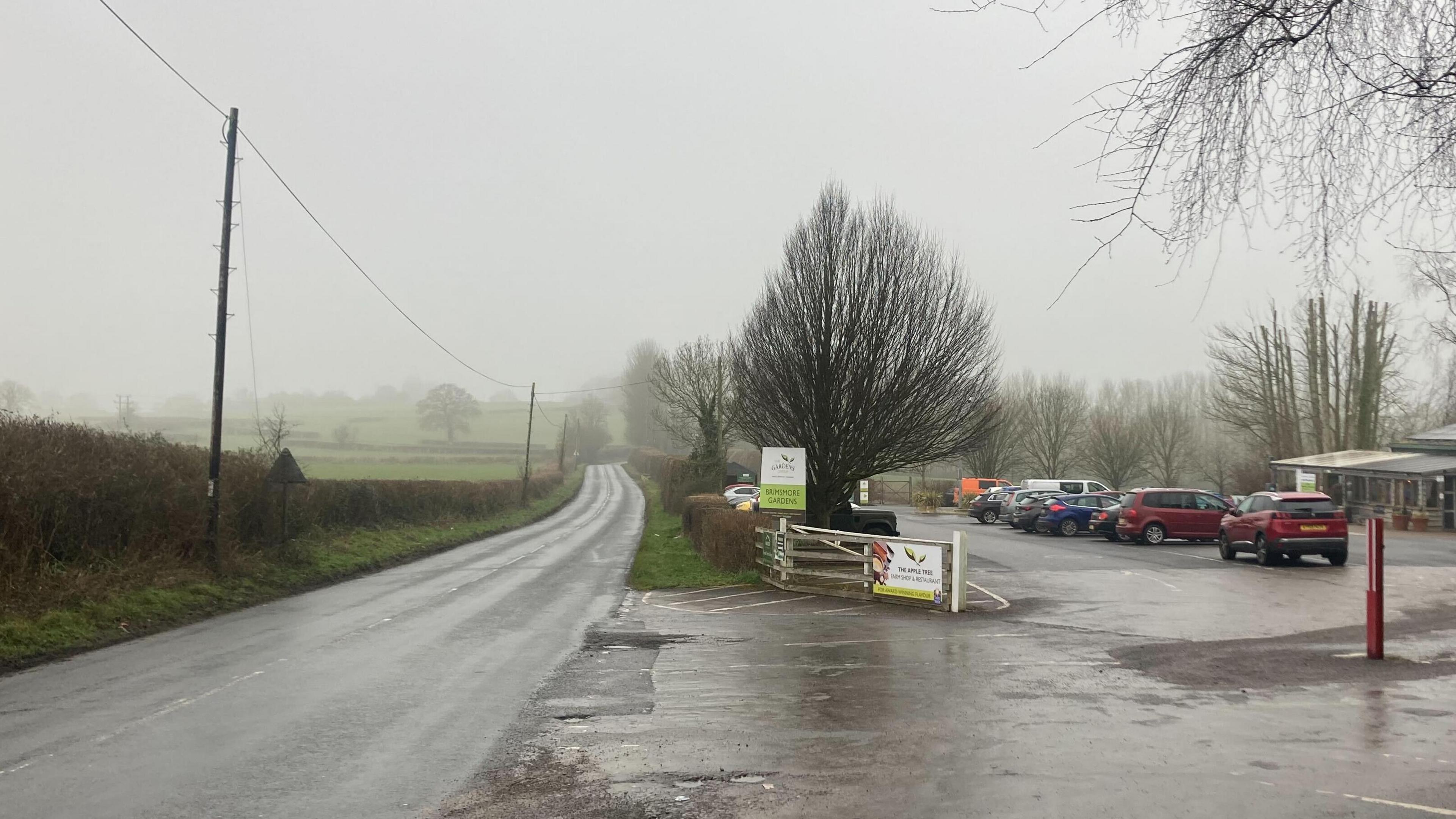 The entrance to Brimsmore Garden Centre, beside a road. You see the road bending around the left into the distance, with green fields on the left, and the car park to the garden centre on the right. There is a a green and white sign and an open gate leading to the car park.