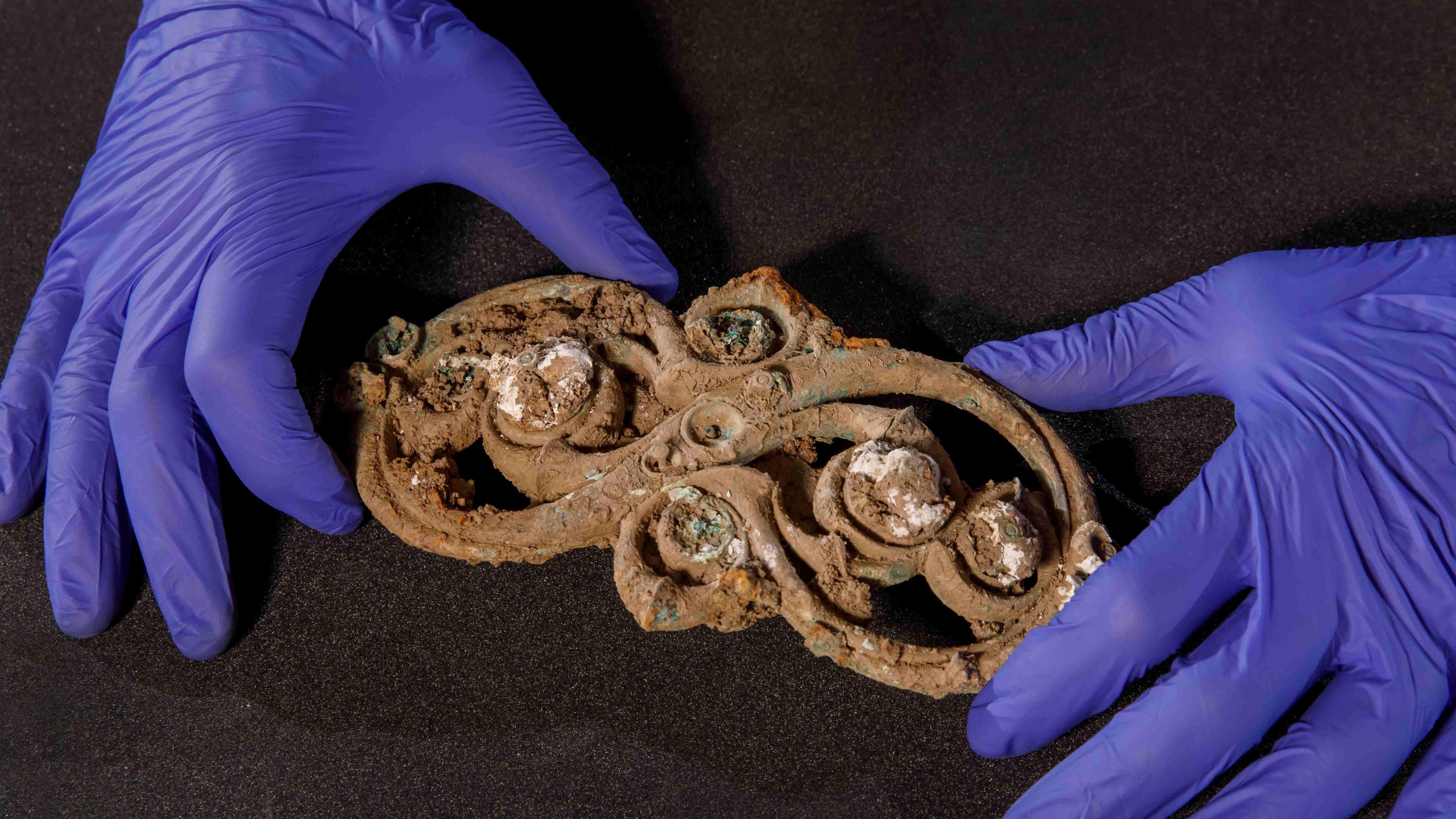 Hands wearing purple latex gloves carefully hold an Iron Age artefact. The item is brown with age, but appears to be a metal object, twisted in a figure of 8 shape and adorned with decorative jewels.