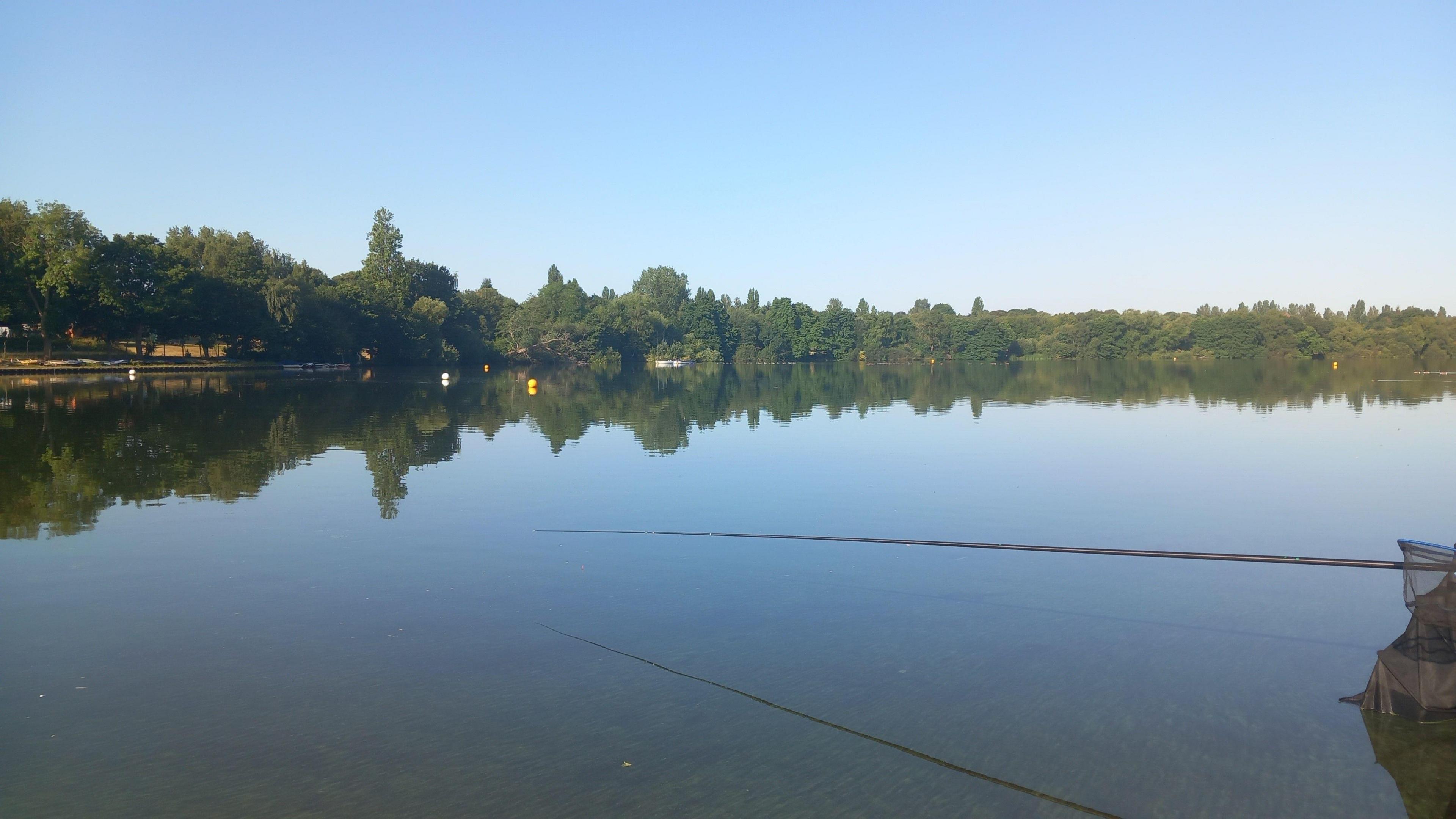 A large flat lake with trees surrounding its far shore and a fishing rod visible on the right hand side