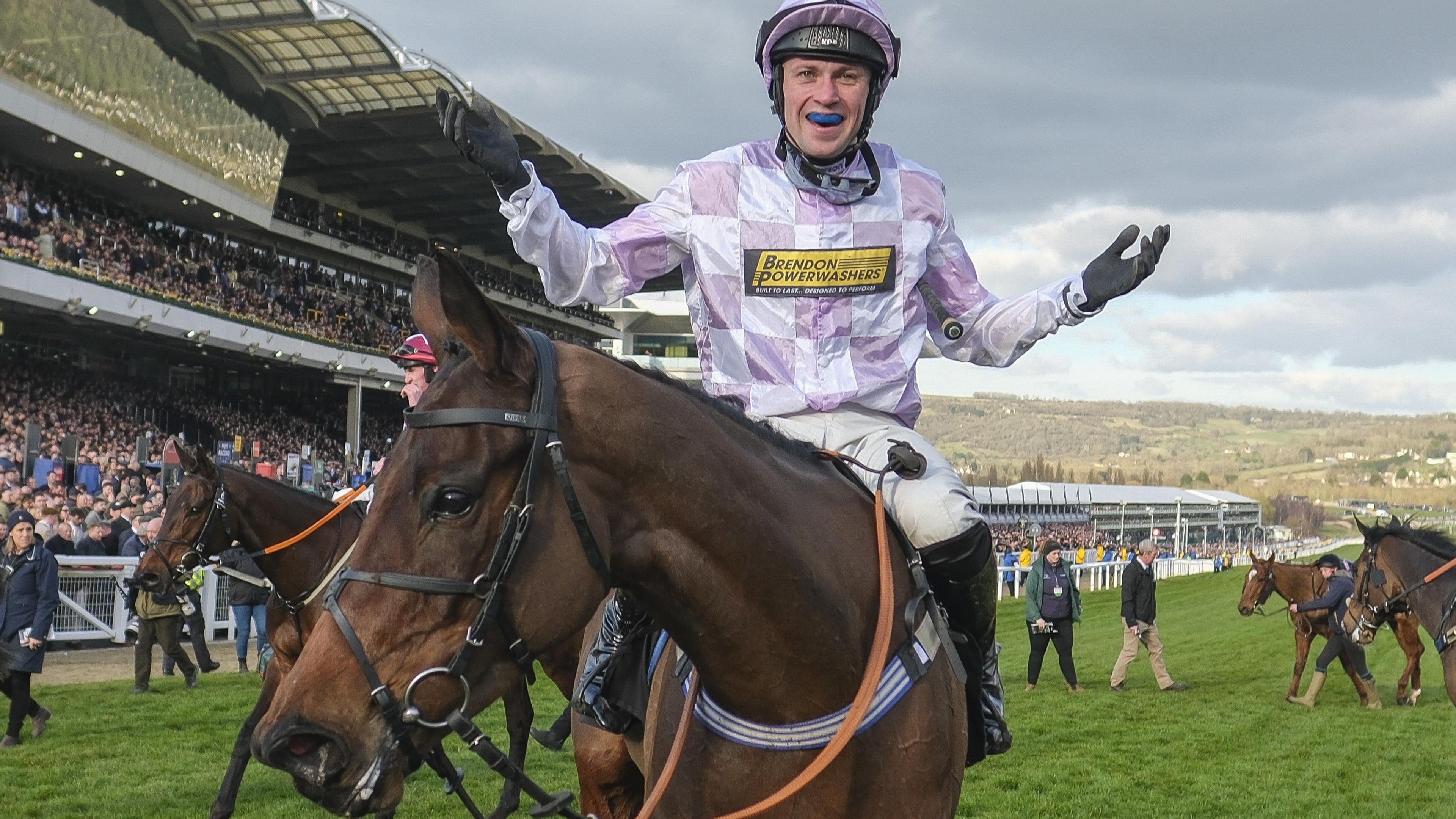 Golden Ace after winning the Champion Hurdle