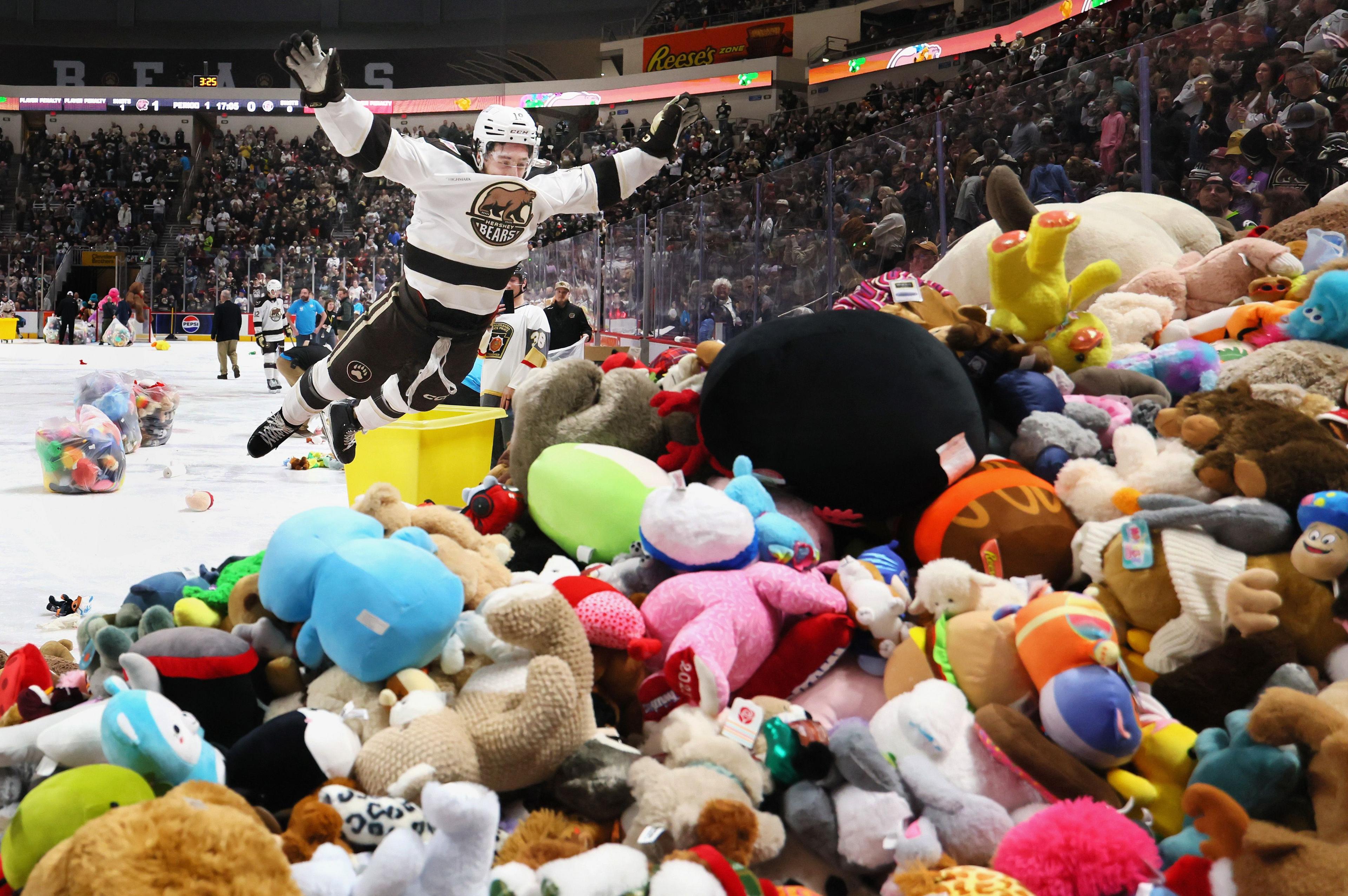 The Hershey Bears' Grant Cruikshank jumps into stuffed teddy bears and other toys at the Giant Center in Hershey, Pennsylvania. The game against Rockford Ice Hogs featured the team's annual teddy bear toss, where fans throw stuffed animals on to the ice to be donated to children's charities. Photo by Bruce Bennett
