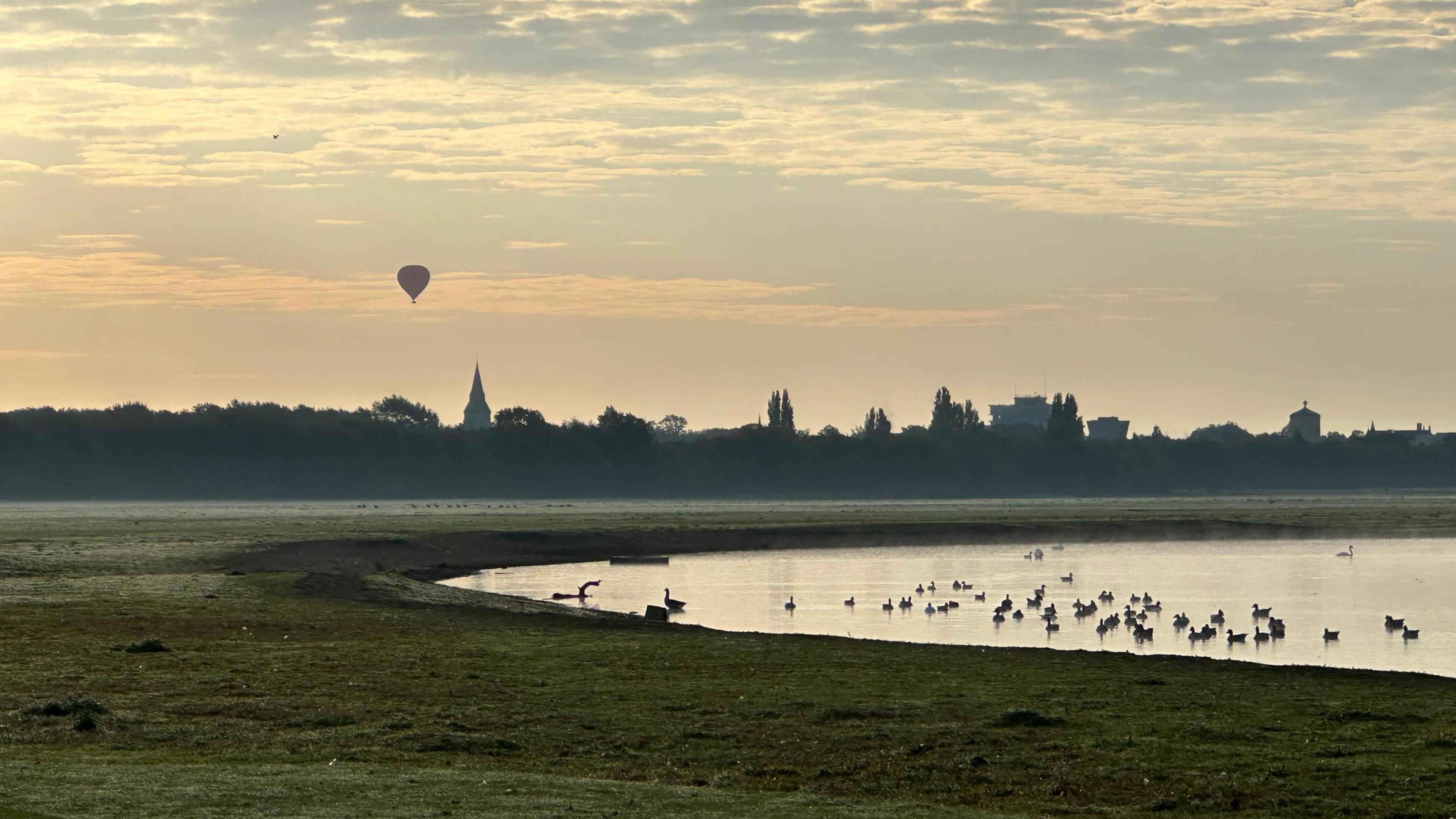 A distant skyline with a buildings and trees visible. A hot air balloon can be seen floating in the sky. In the front of the image is a field and a pong with many birds floating on the water.