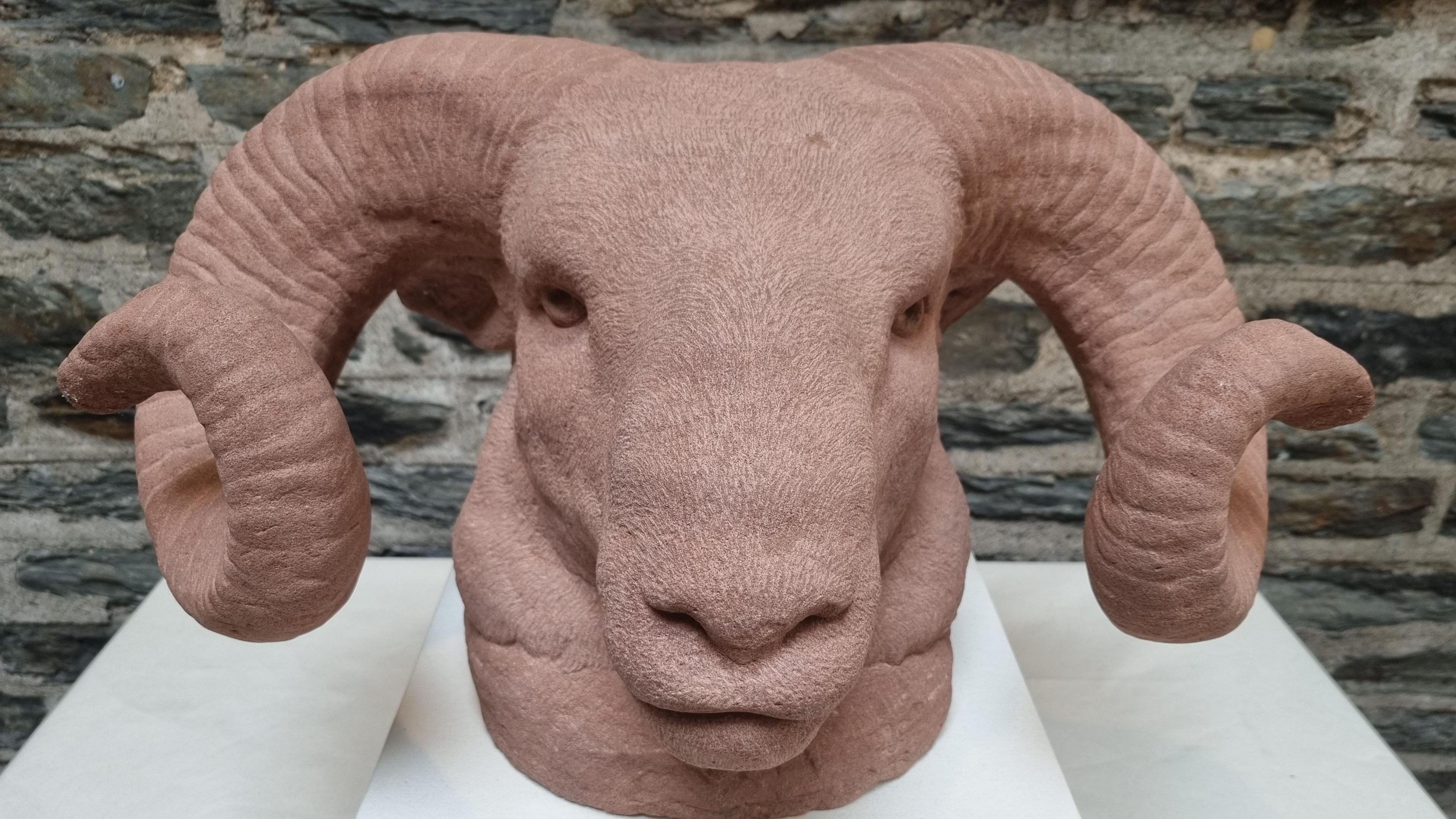 A close-up of a Loughtan sheep's head, sculpted in red clay, which has large spiralling horns. It is on a white plinth in front of a stone wall.