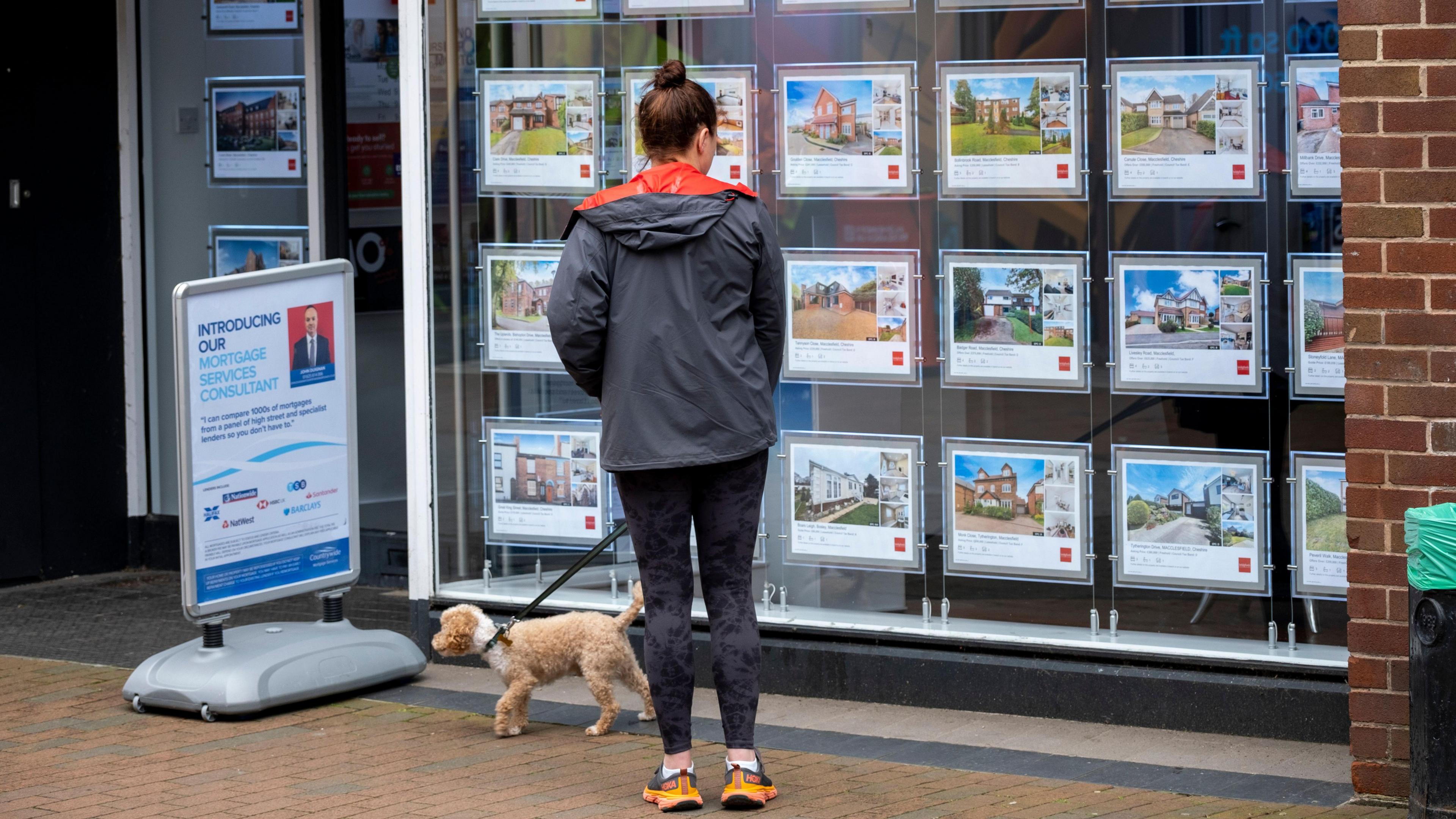 A woman walking a small brown dog with curly fur stopping to look at the properties advertised in the window of an estate agents. Her back is to the camera. She has brown hair tied into a bun and is wearing a grey coat with an orange hood, black leggings and orange and black trainers. 