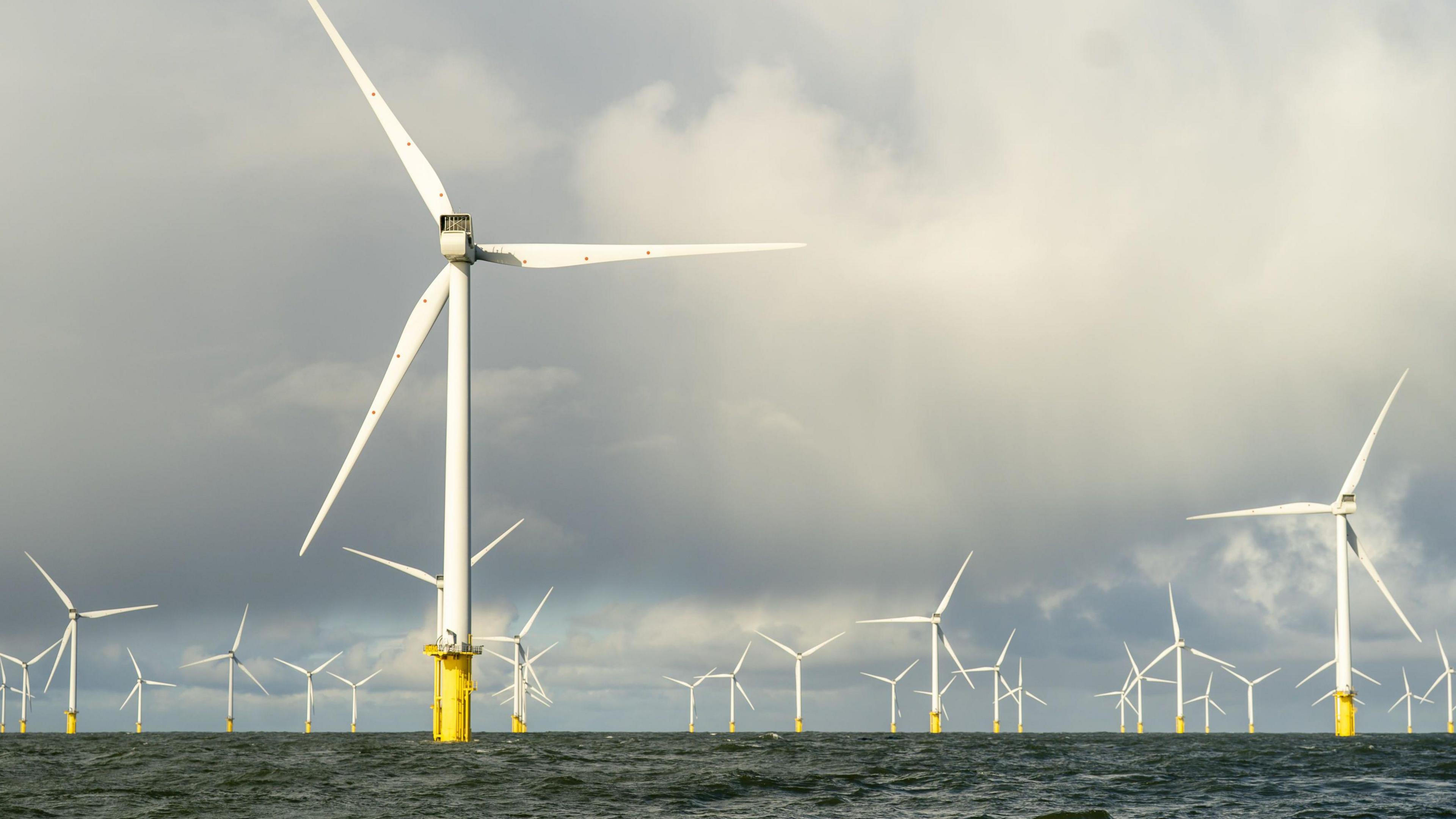 A large offshore wind farm with white turbines and yellow bases, under a cloudy sky.
