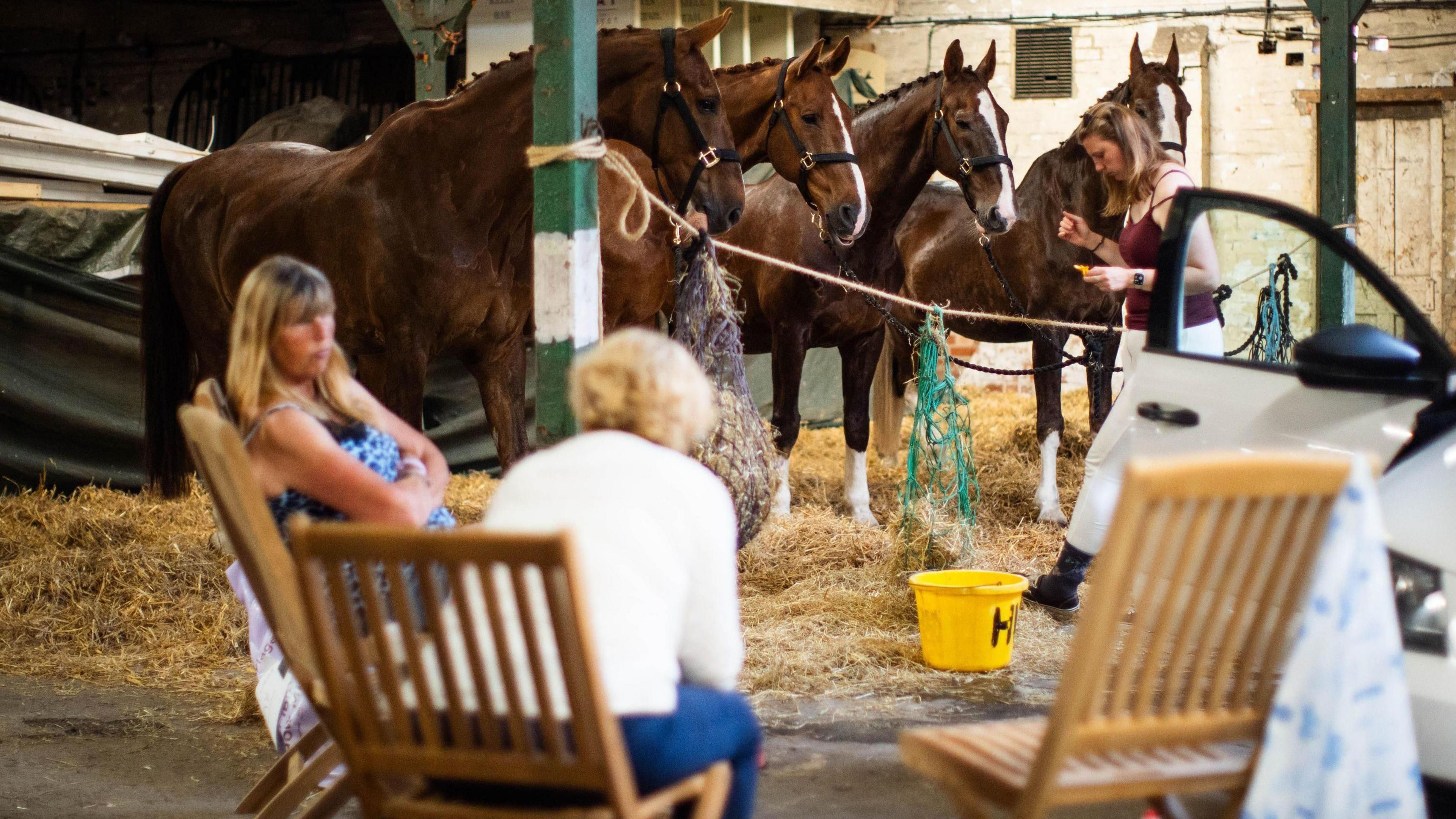 A row of four brown horses with white stripes down their noses stands together in a patch of hay resting. There is a woman with blonde hair and a red camisole top and white trousers walking towards them and in the foreground two women sit on wooden deck chairs talking.