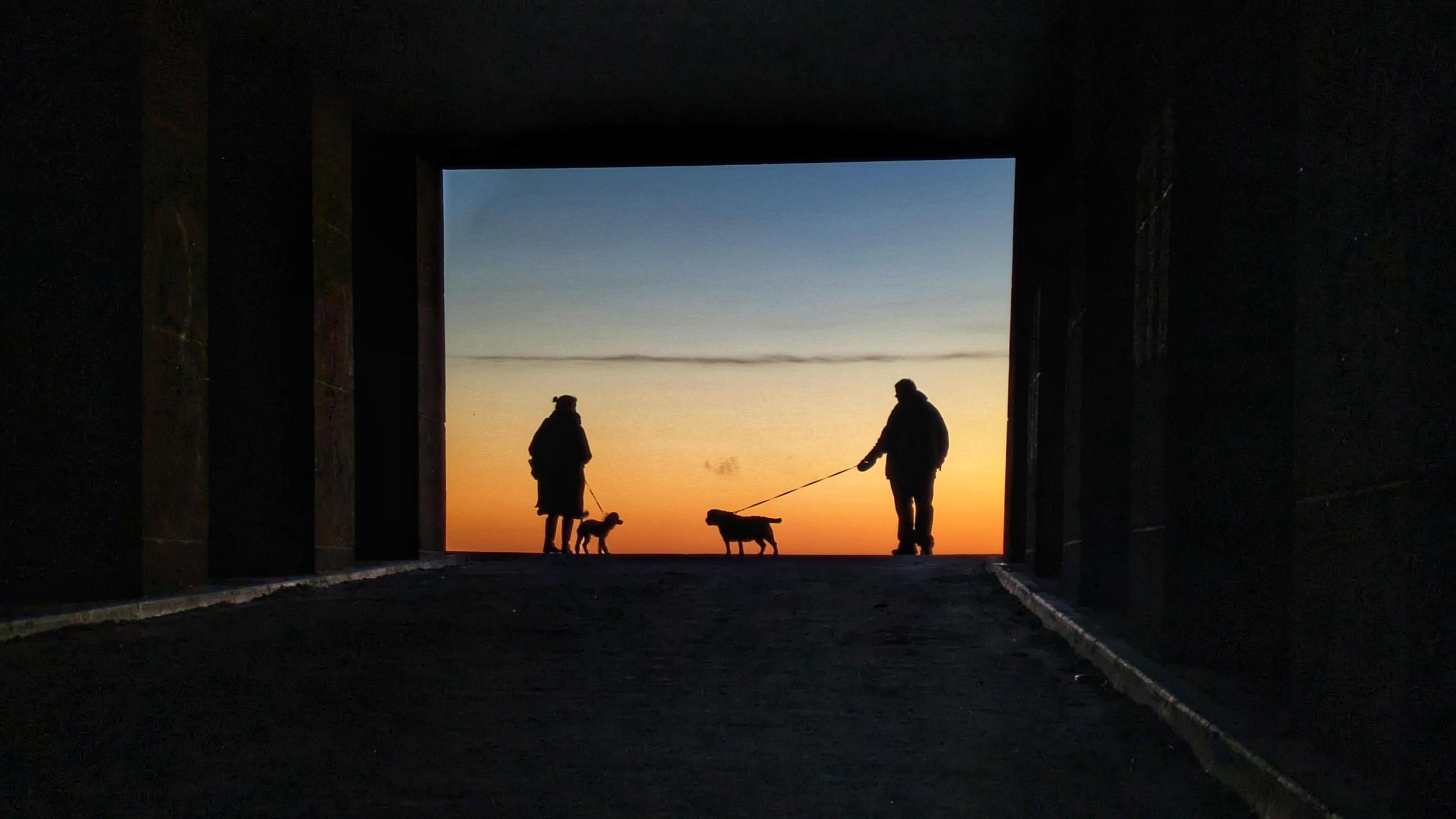 The image shows two people, a woman and a man, walking their dogs along a paved path. The path leads out of a shadowy, arched passageway into a bright, golden sunset. Both figures are in silhouette against the setting sun. Behind them, the sky is a mix of orange, pink and blue.