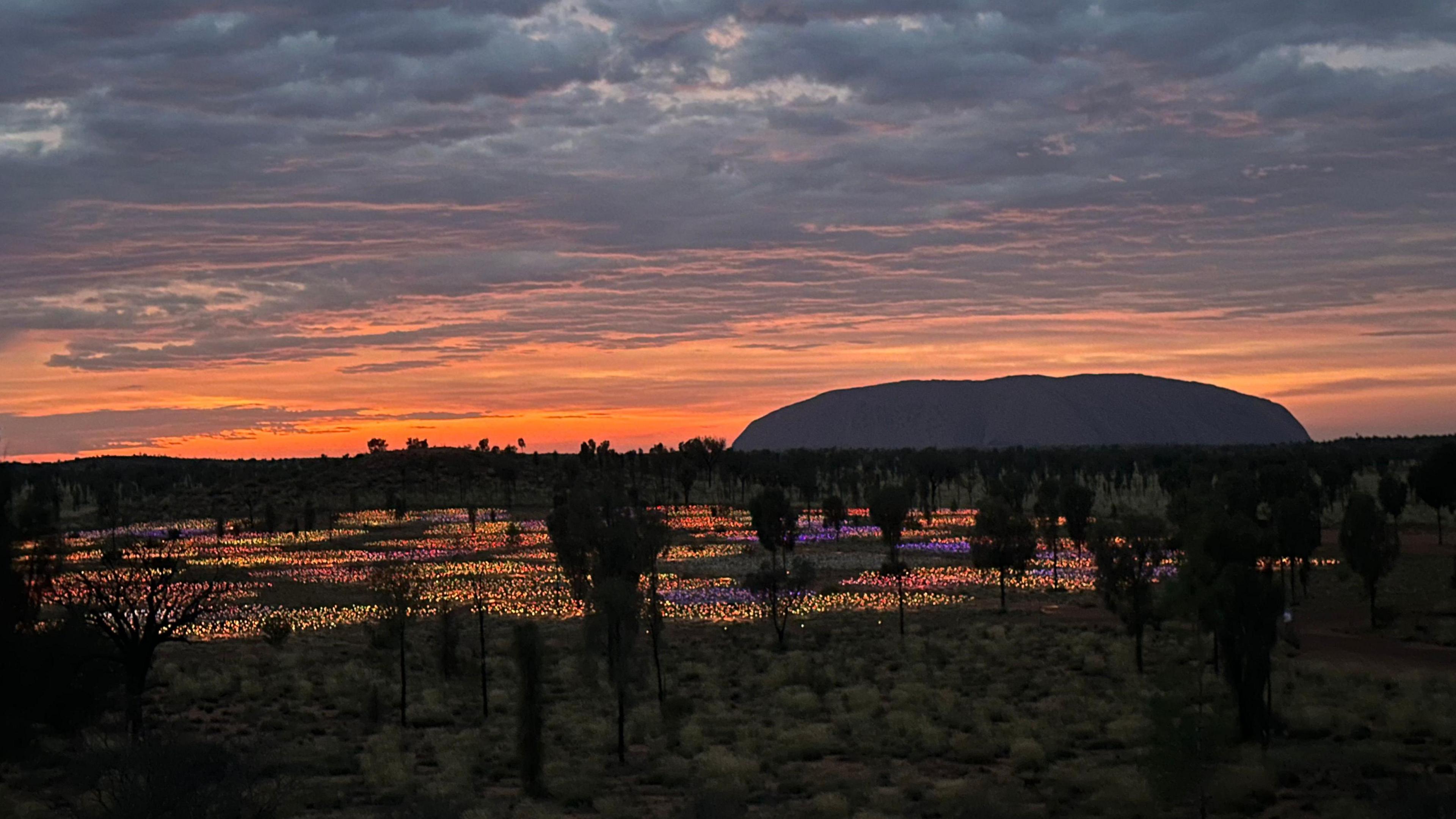 Uluru yn yr bore, gyda'r Oriel 'Field of Light' tu flaen.