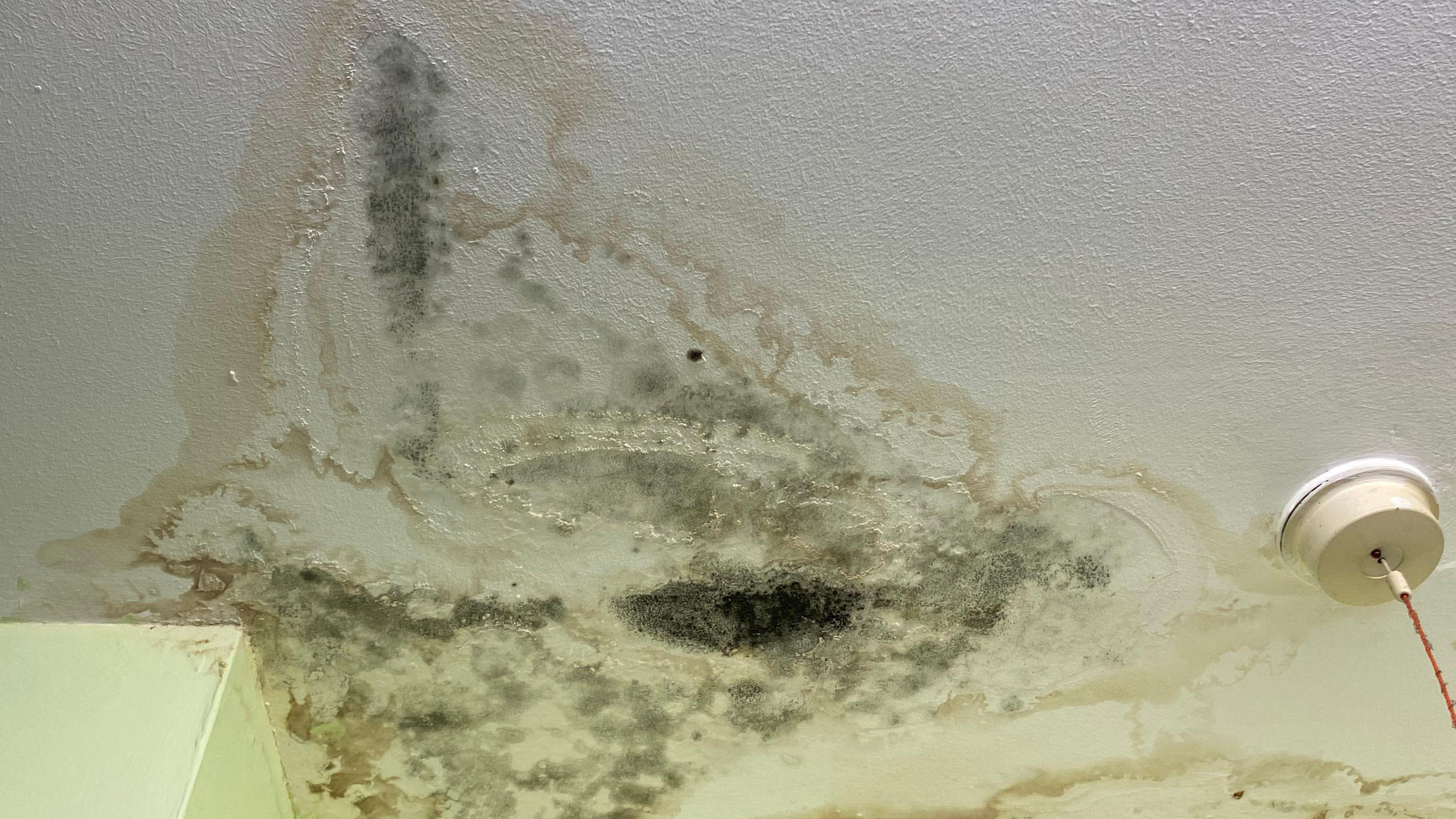 Mould in room