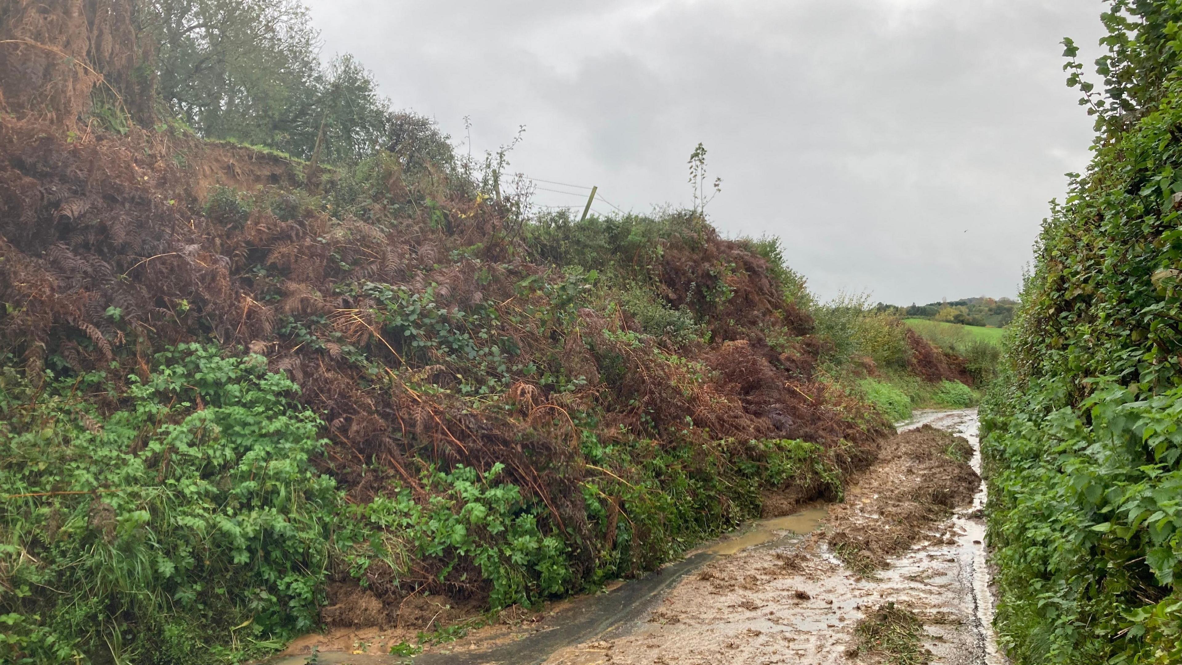 View of landslip down narrow lane