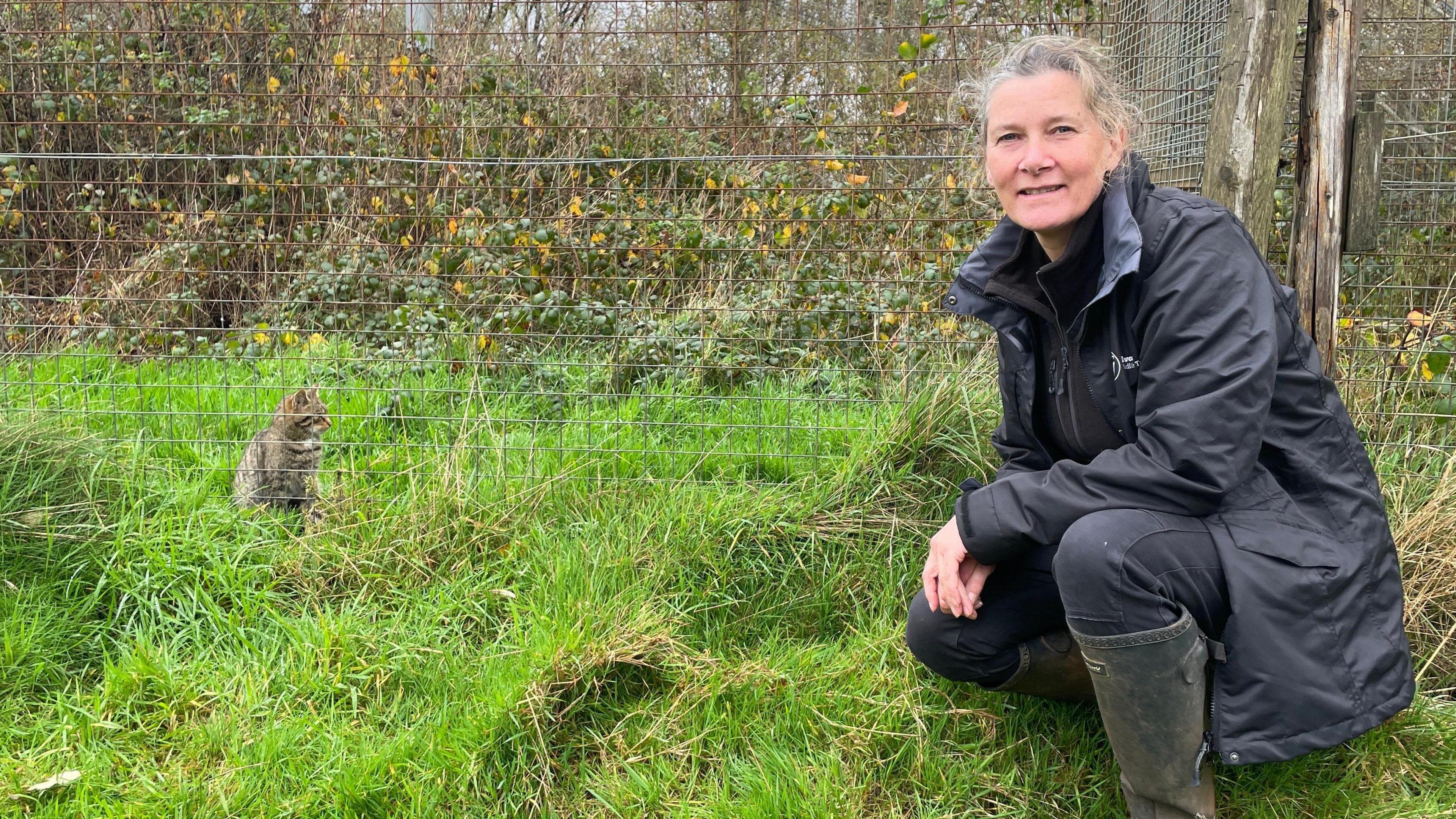 Cath Jeffs, dressed in a black outdoor coat and wellington boots, is crouching down next to a wildcat pen. A wildcat looks at her from the other side of the wire fence.