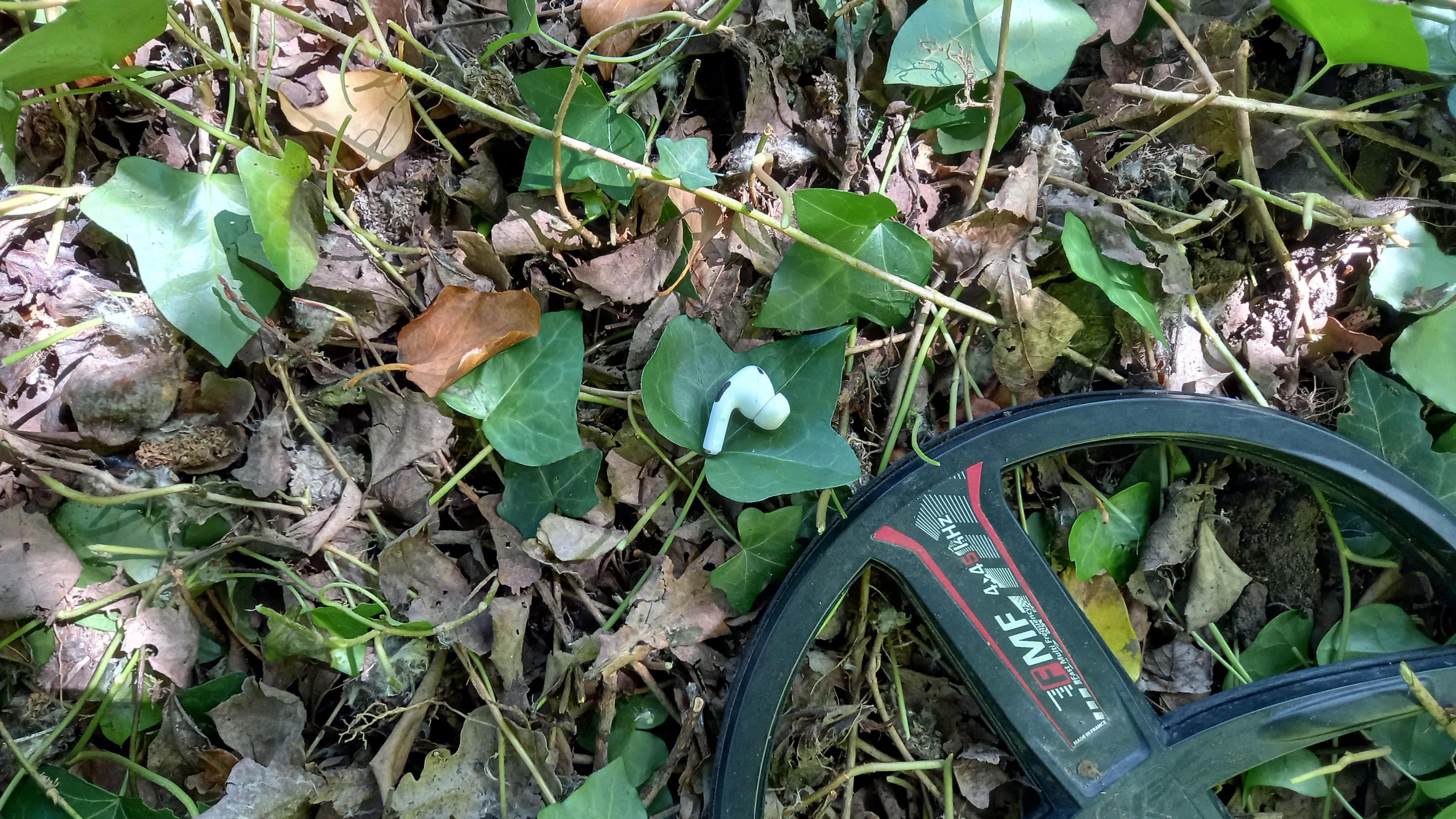 A white earbud on a piece of ivy in the woods. There are dead leaves on the floor and there is a metal detector in the right corner.