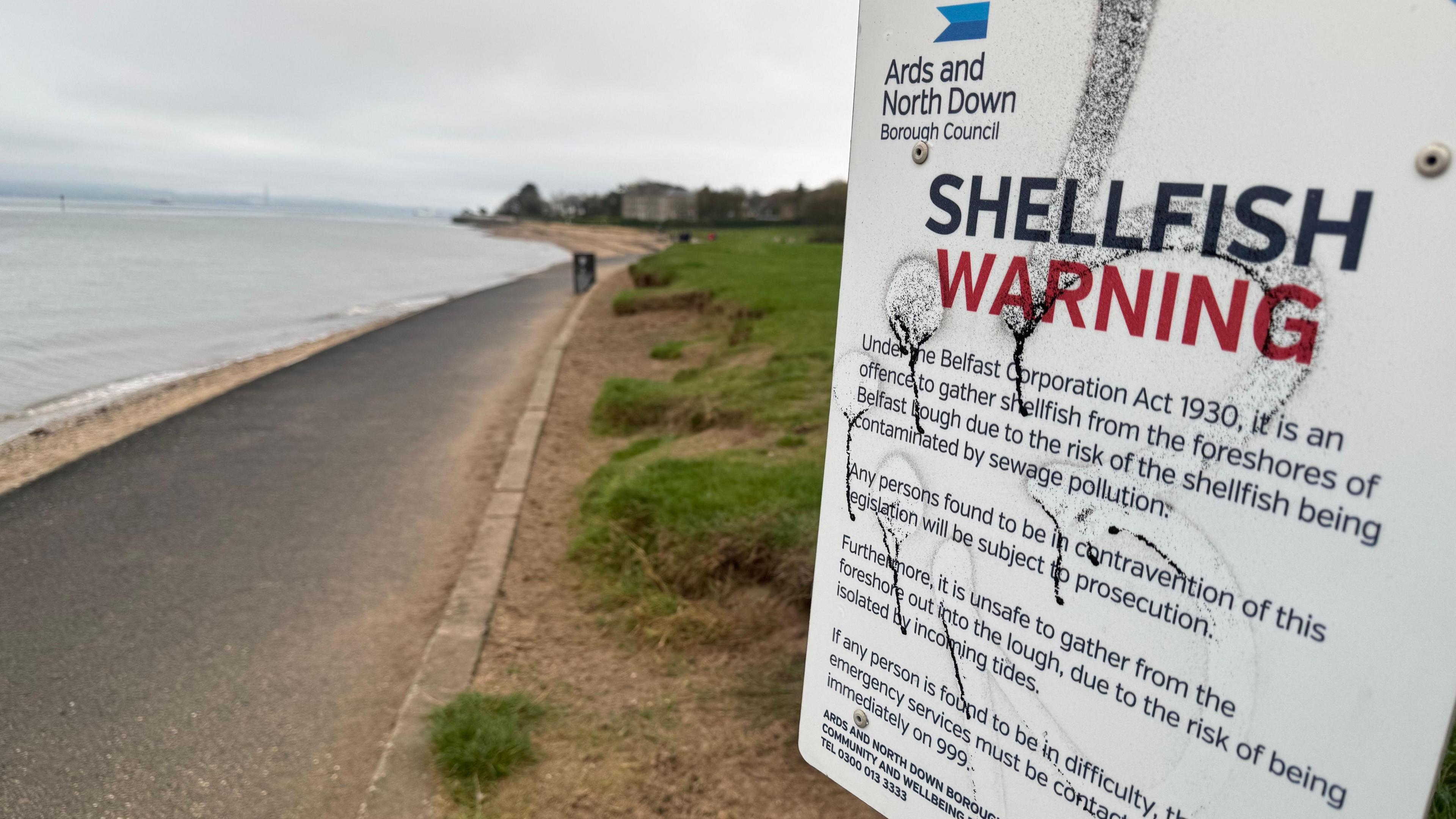 A sign on the shore of Belfast Lough warning that it is an offence to gather shellfish from the foreshore of Belfast Lough due to the risk of the shellfish being contaminated by sewage. 