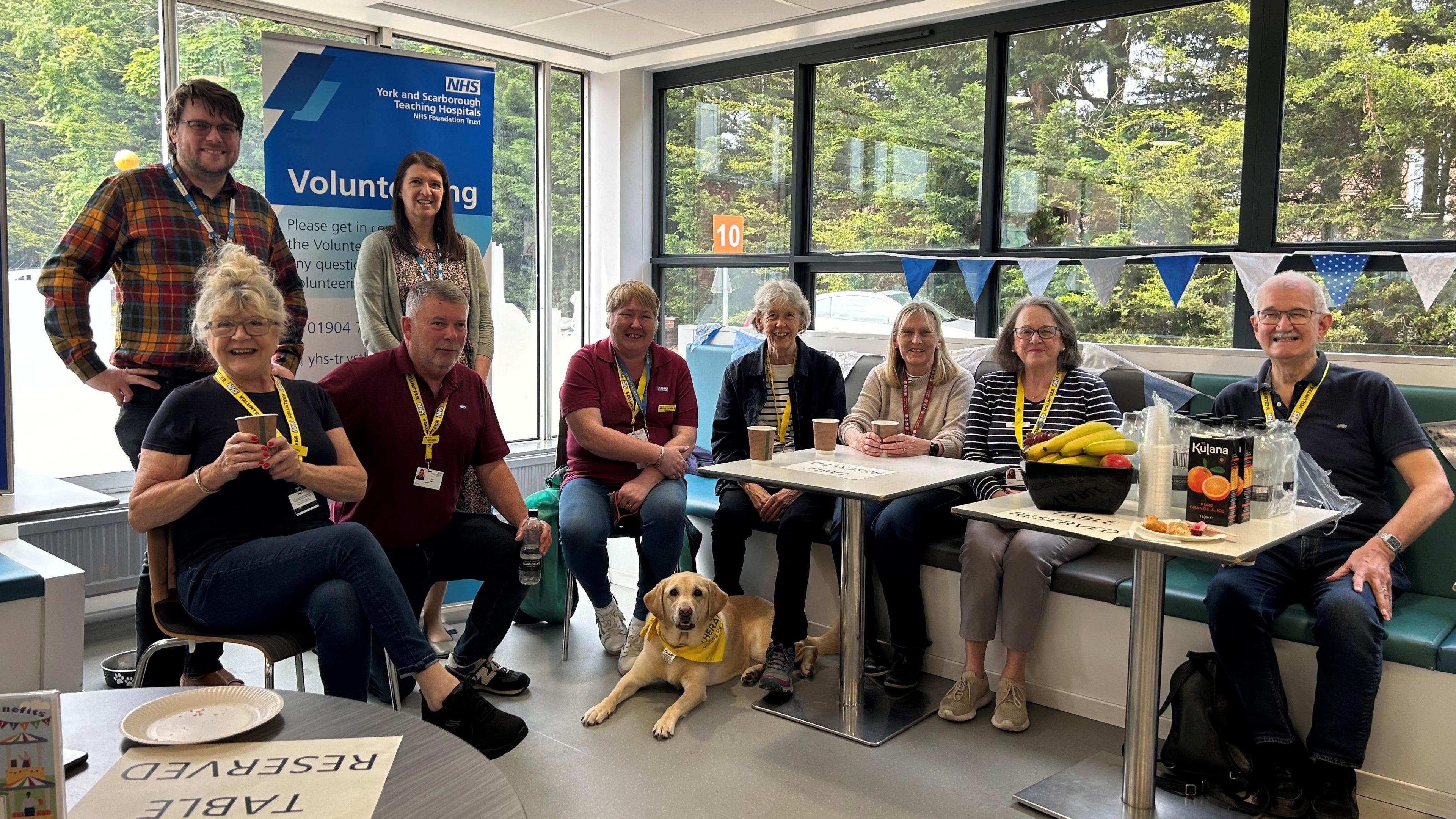 group of volunteers including dog