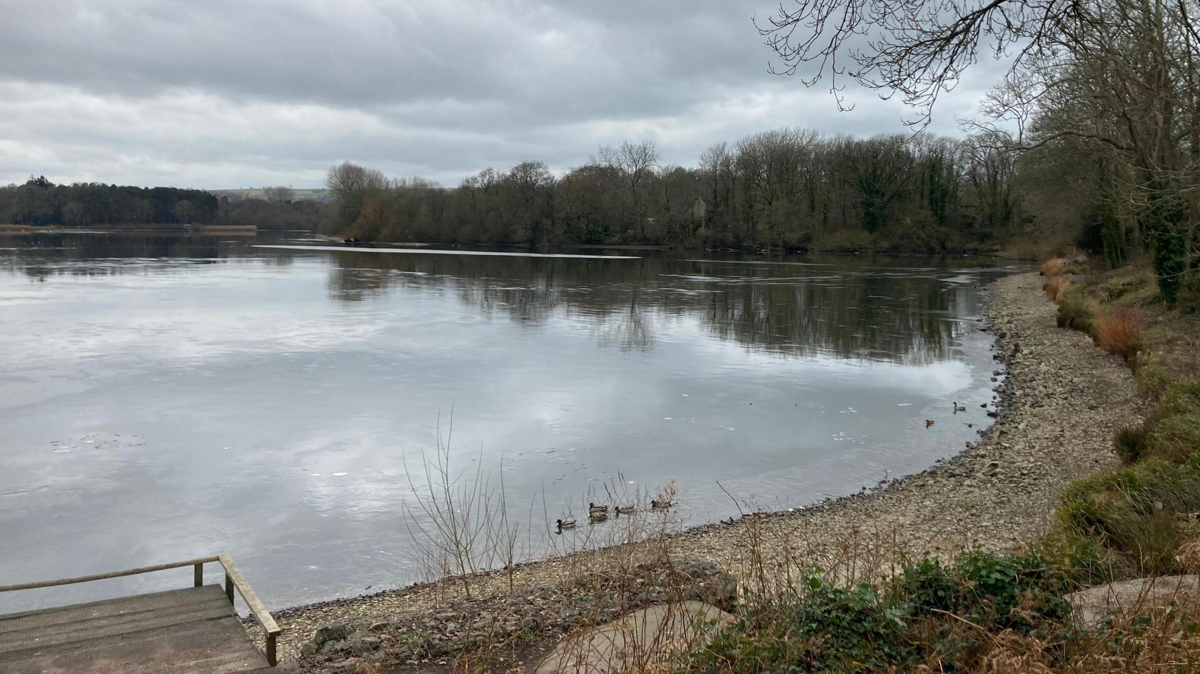 The reservoir at Chard. The water is surrounded by a number of trees and includes some birds swimming on the lake.