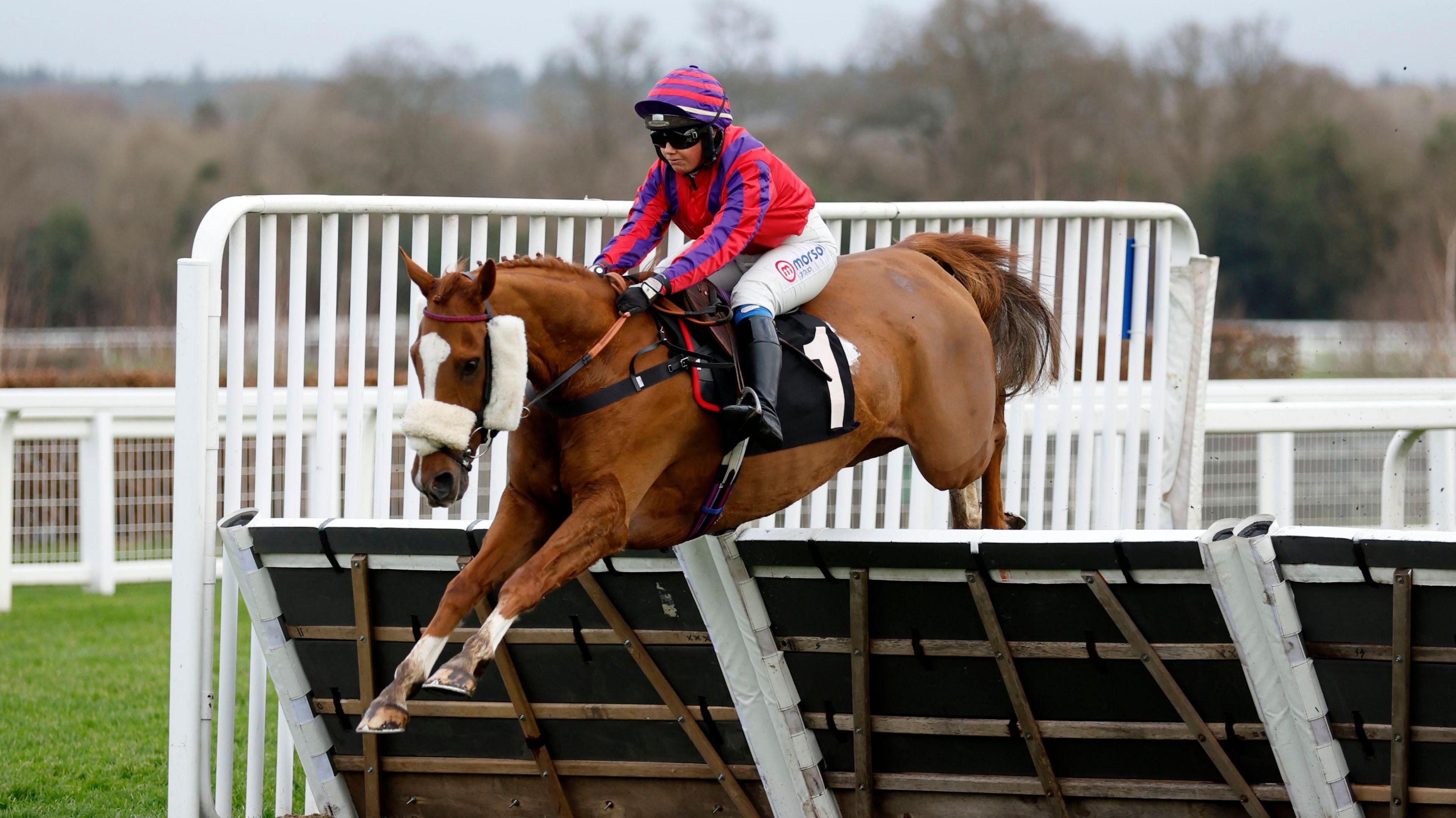 Thank You Ma'am ridden by Olive Nicholls clears the last before going on to win the Thames Materials Novices' Handicap Hurdle on Howden Christmas Racing Weekend at Ascot Racecourse.