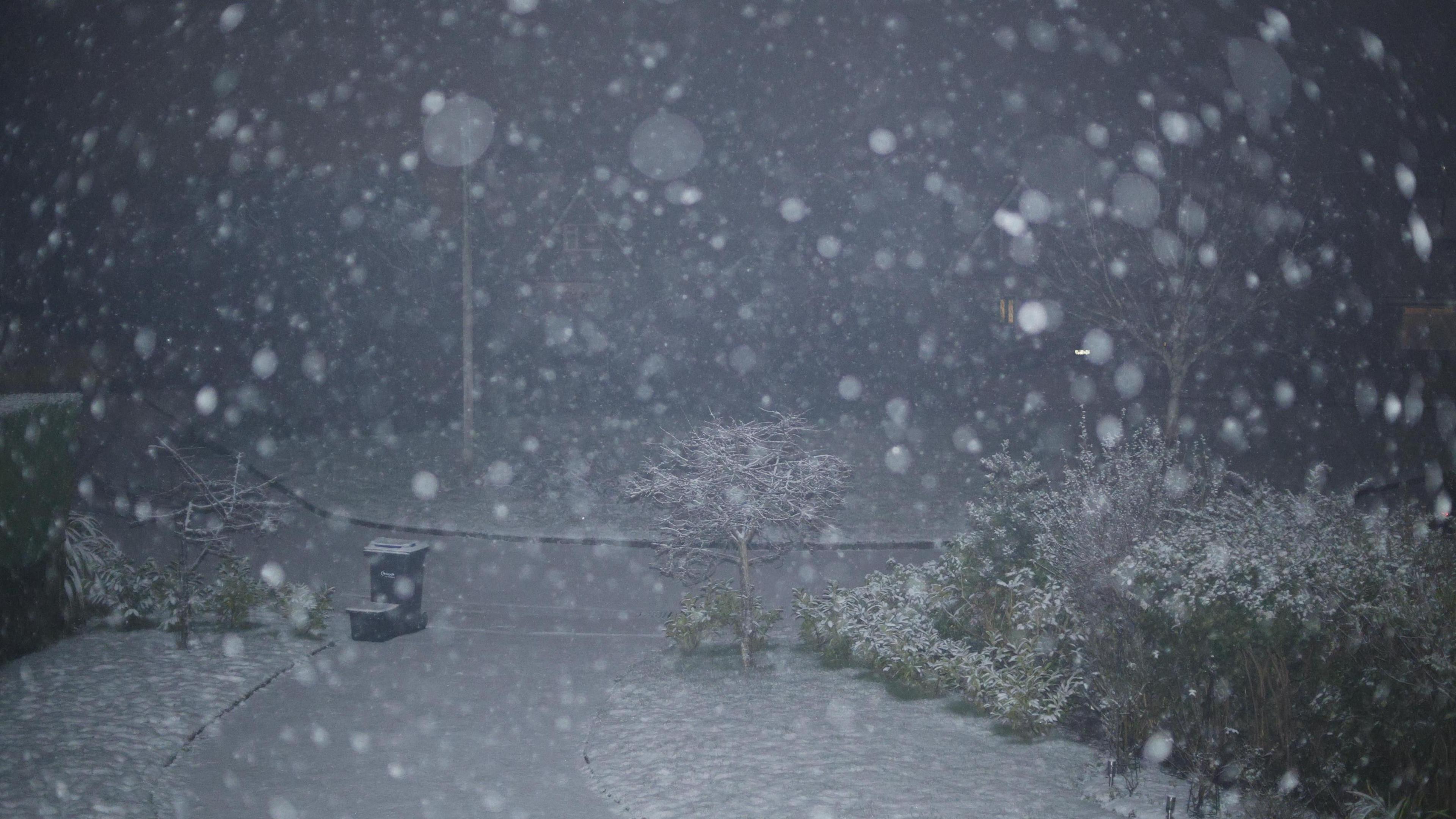 A snowy scene taken in the dark. The ground is completely white with a blanket of snow and there are snowflakes drifting down in front of the camera flash.