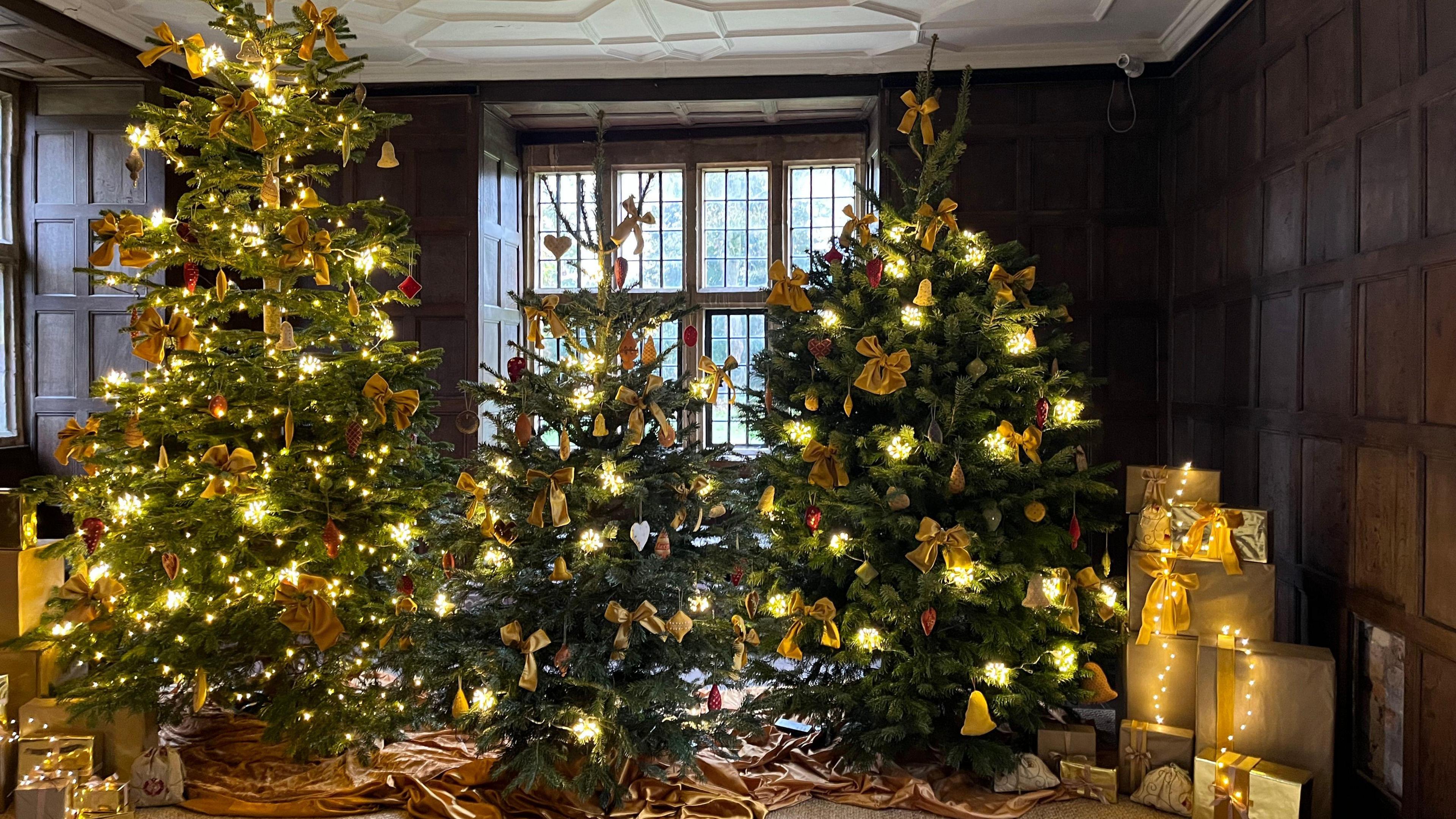 Three Christmas trees of varying sizes decorated with lights and festive decorations. There are piles of gold parcels neatly stacked on either side of the image.