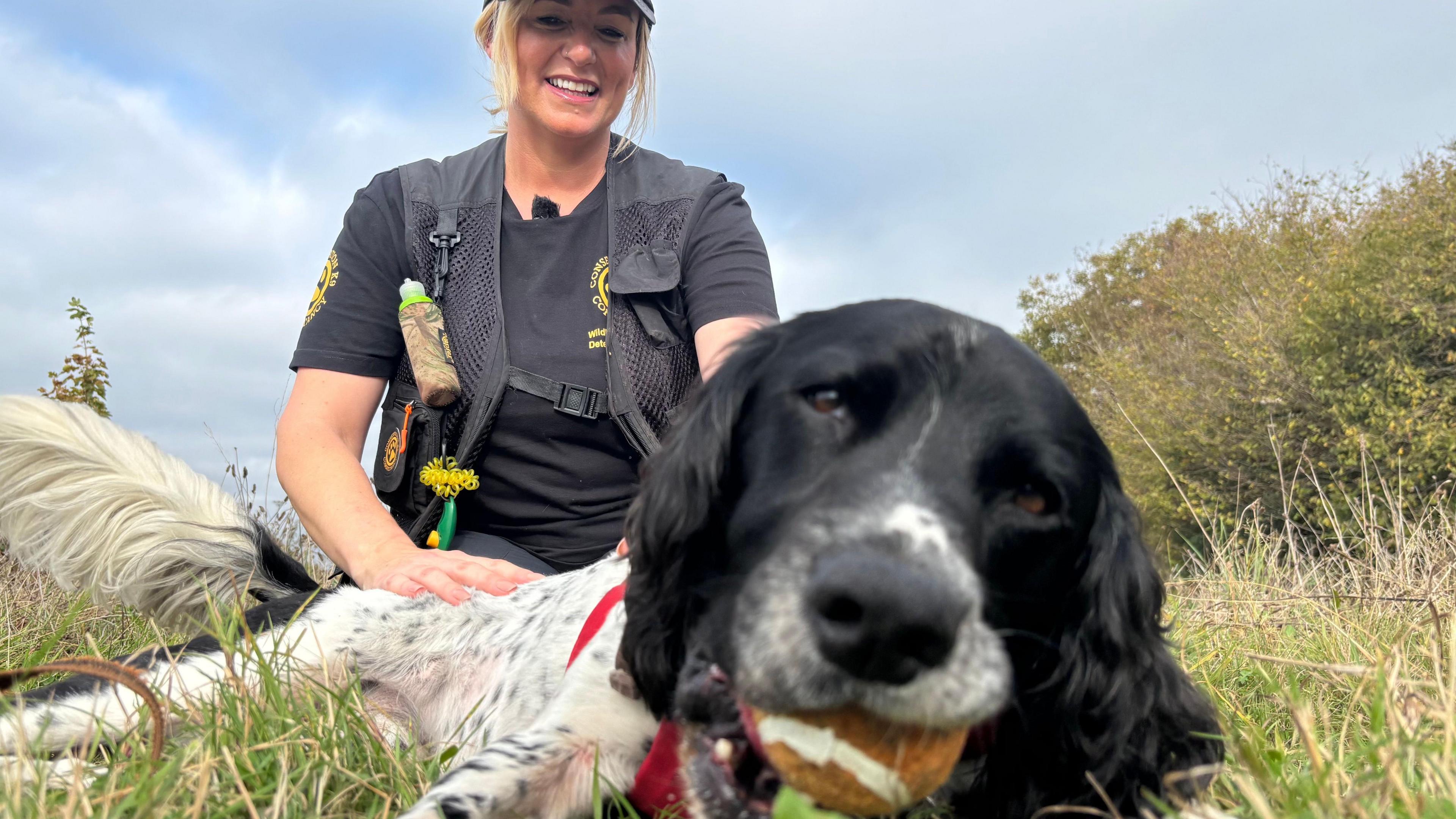 Henry, a black and white springer spaniel lies on the grass chewing a tennis ball as his owner Louise Wilson sits behind him smiling.
