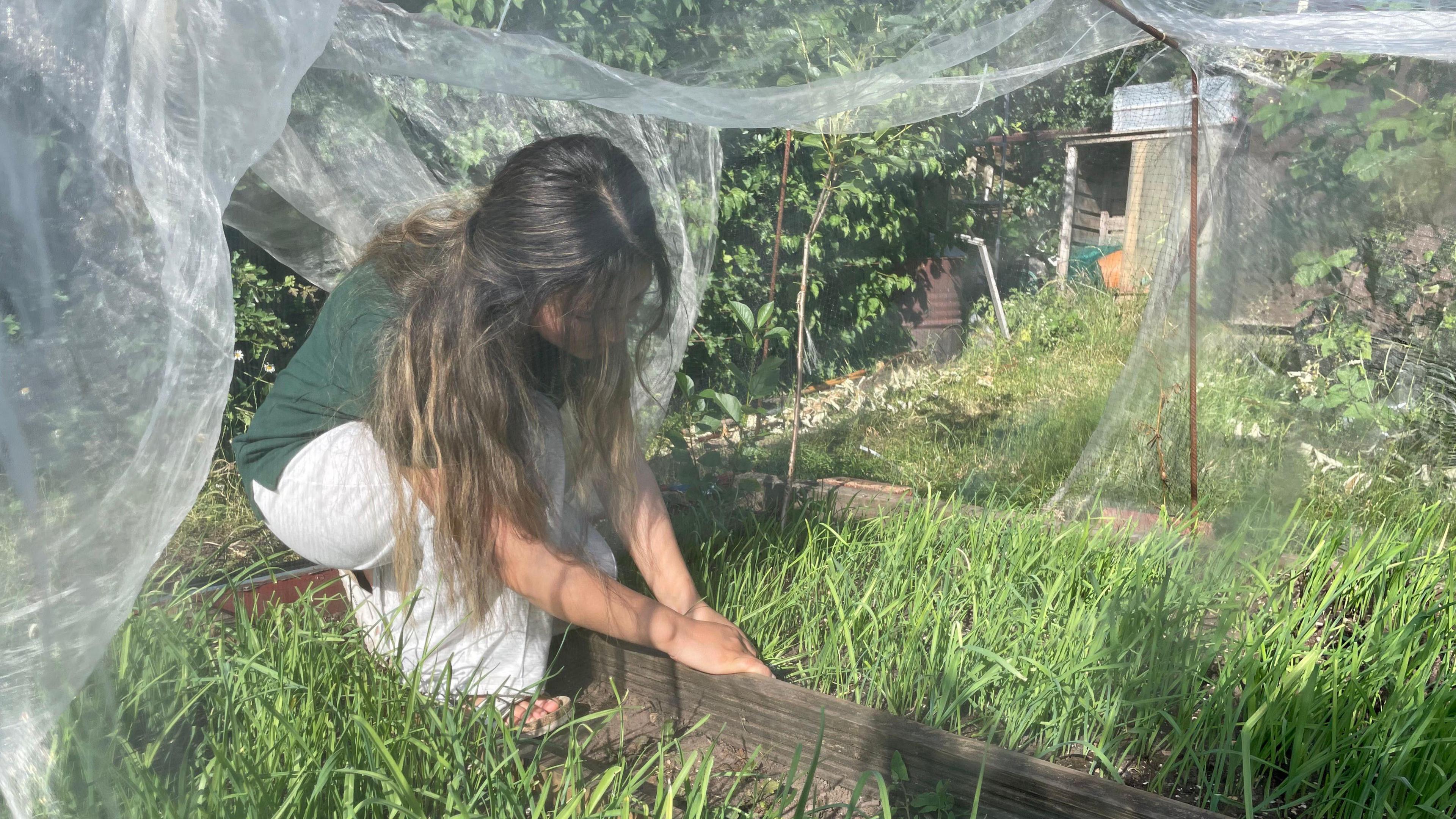 Pervin is tending to a Gandana crop