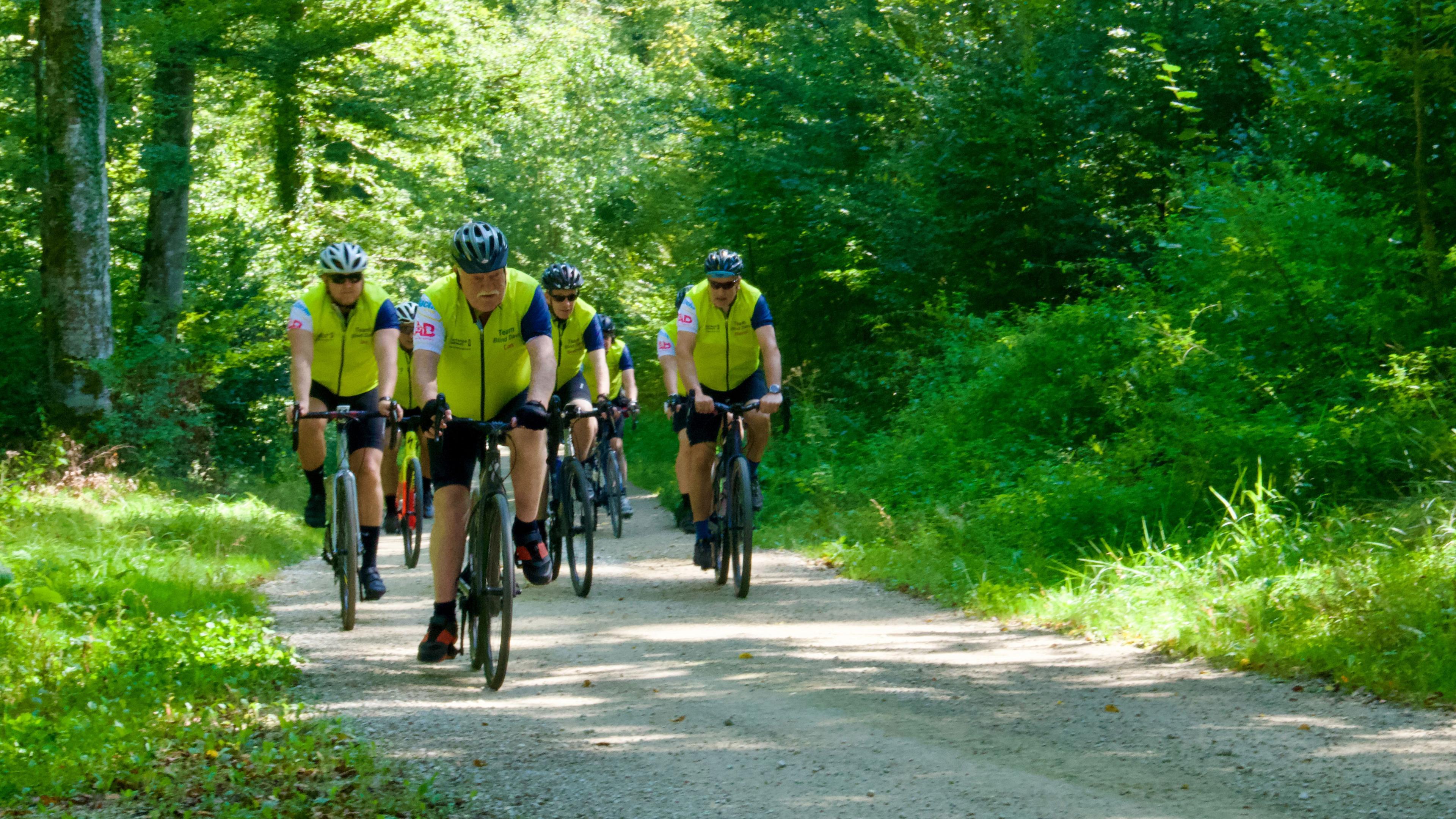 Cyclists on a country track surrounded by green trees and patches of sunlight