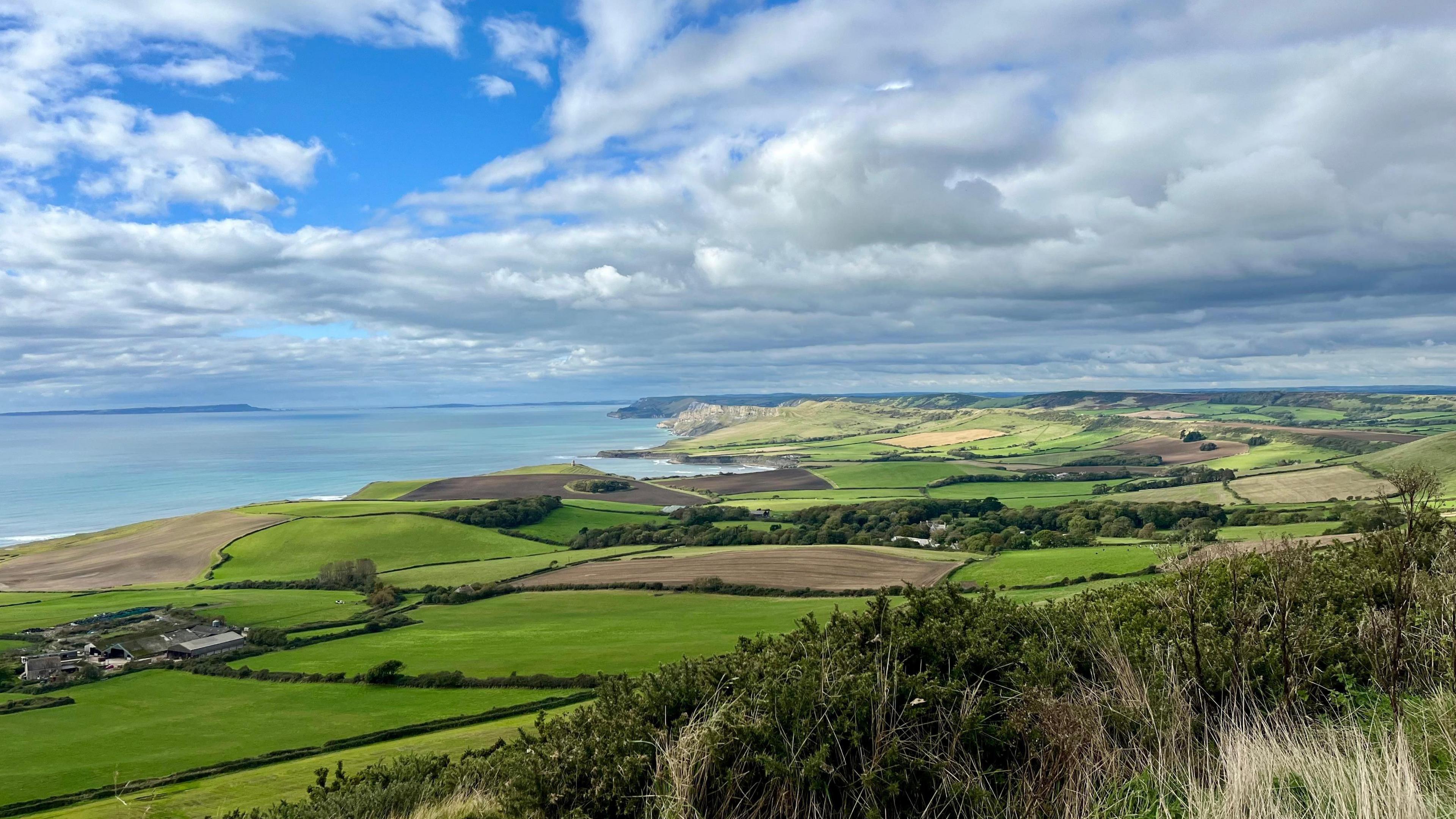 An aerial view of patchwork fields - the majority of the fields are a vivid green although some are a grey/brown colour. The sea can be seen in the background. It all sits under a blue sky filled with white clouds. There are green bushes in the foreground