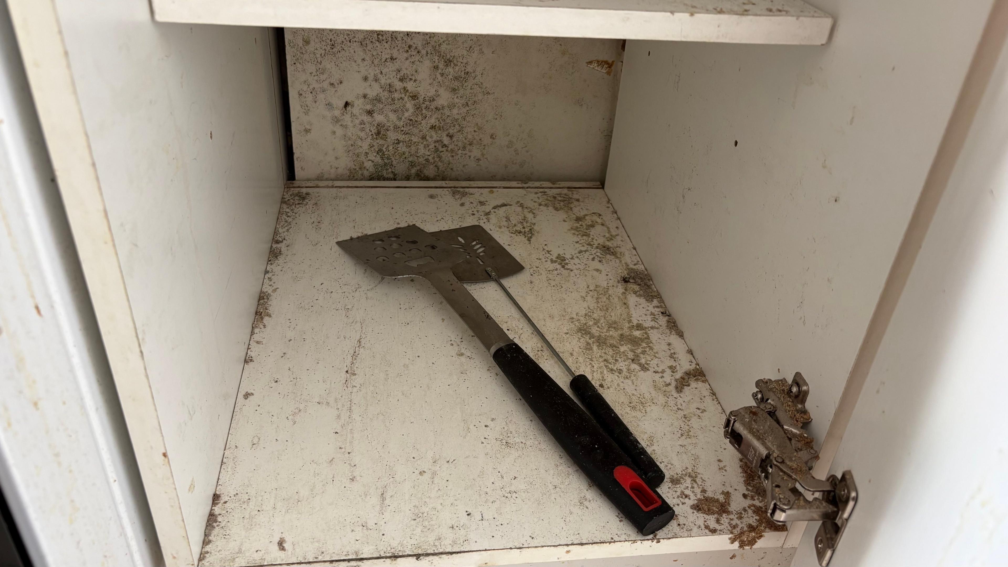 Wooden cupboard painted white, with a white shelf. Dark spores of mould can be seen on the surfaces. There are two kitchen utensils in the cupboard.