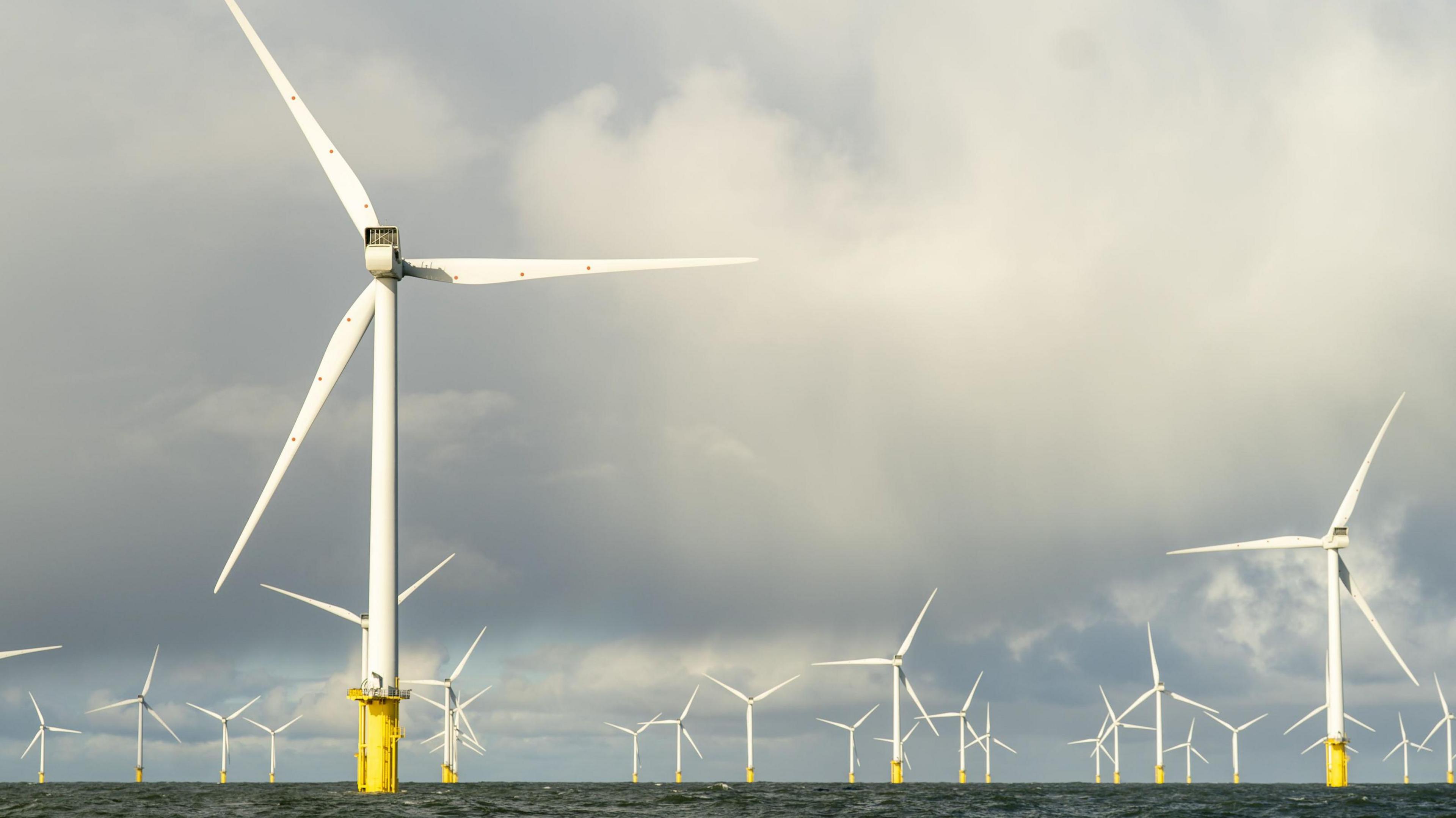 An offshore wind farm on a cloudy day. There are dozens of wind turbines in the sea.