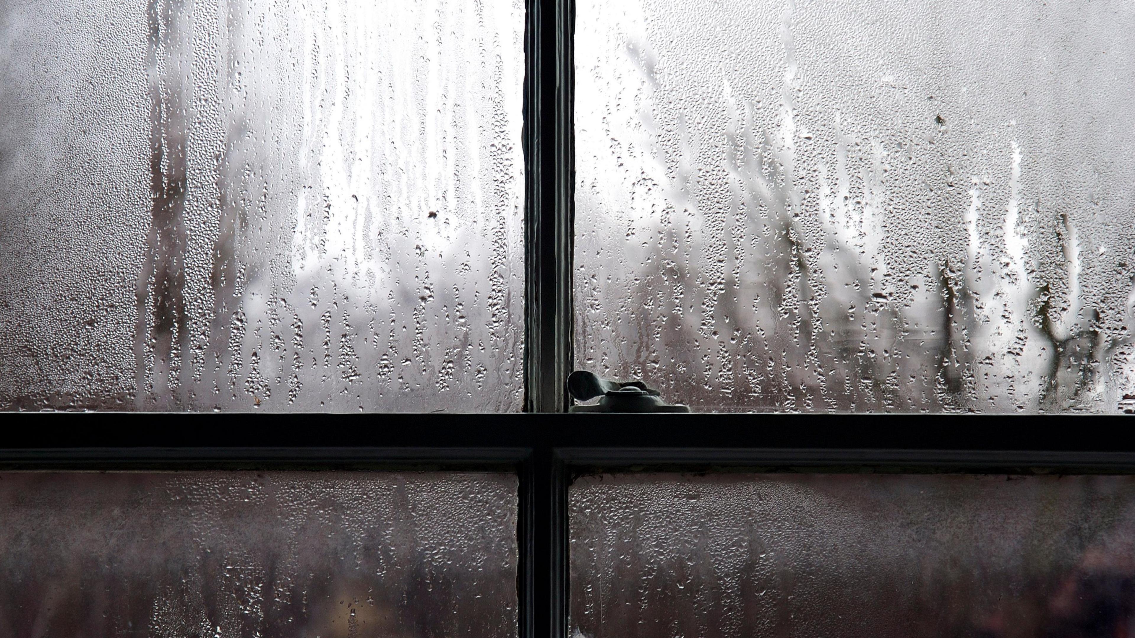 Condensation on a window pane.