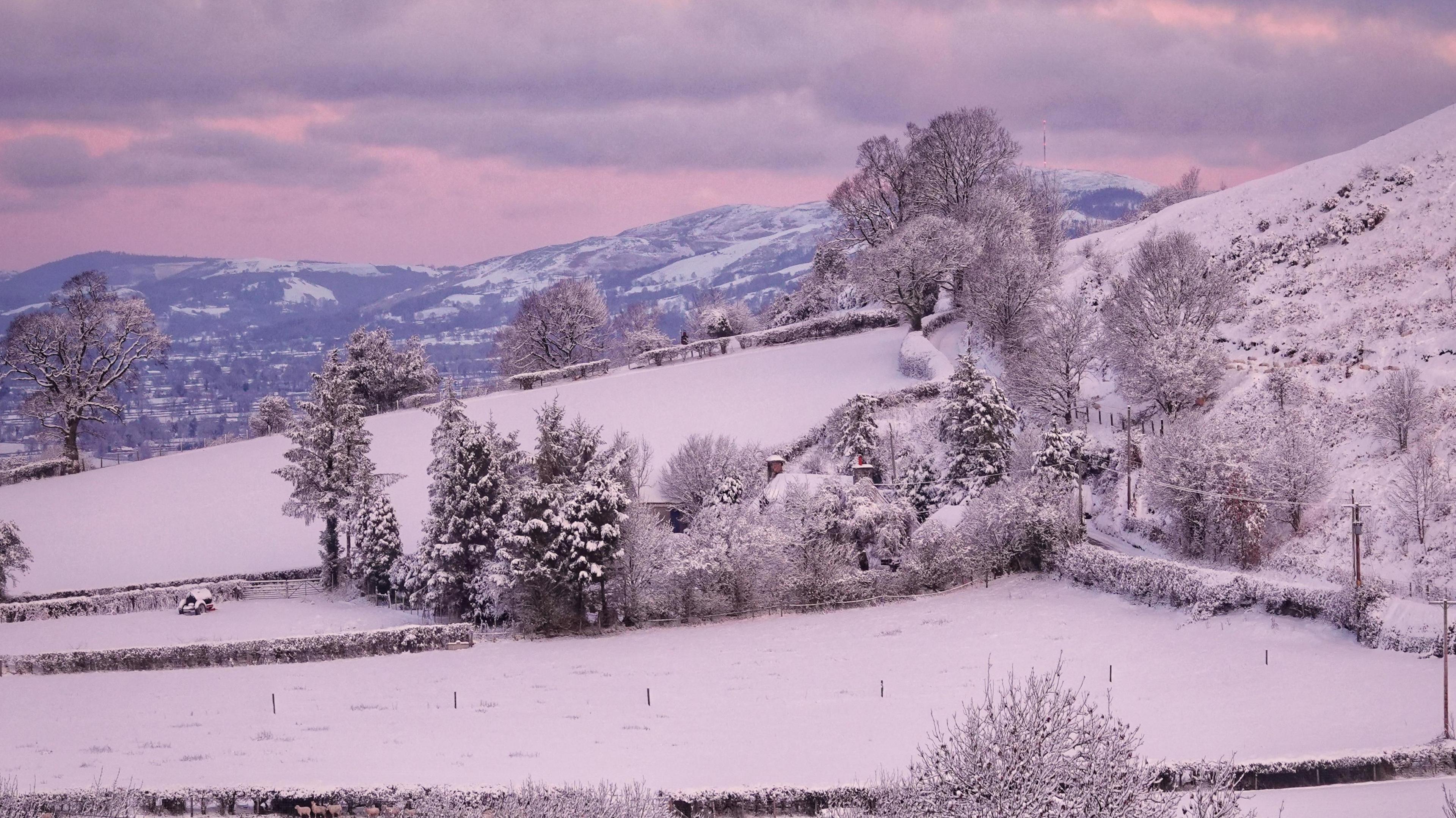 Snowy landscape reflecting the pink sky above