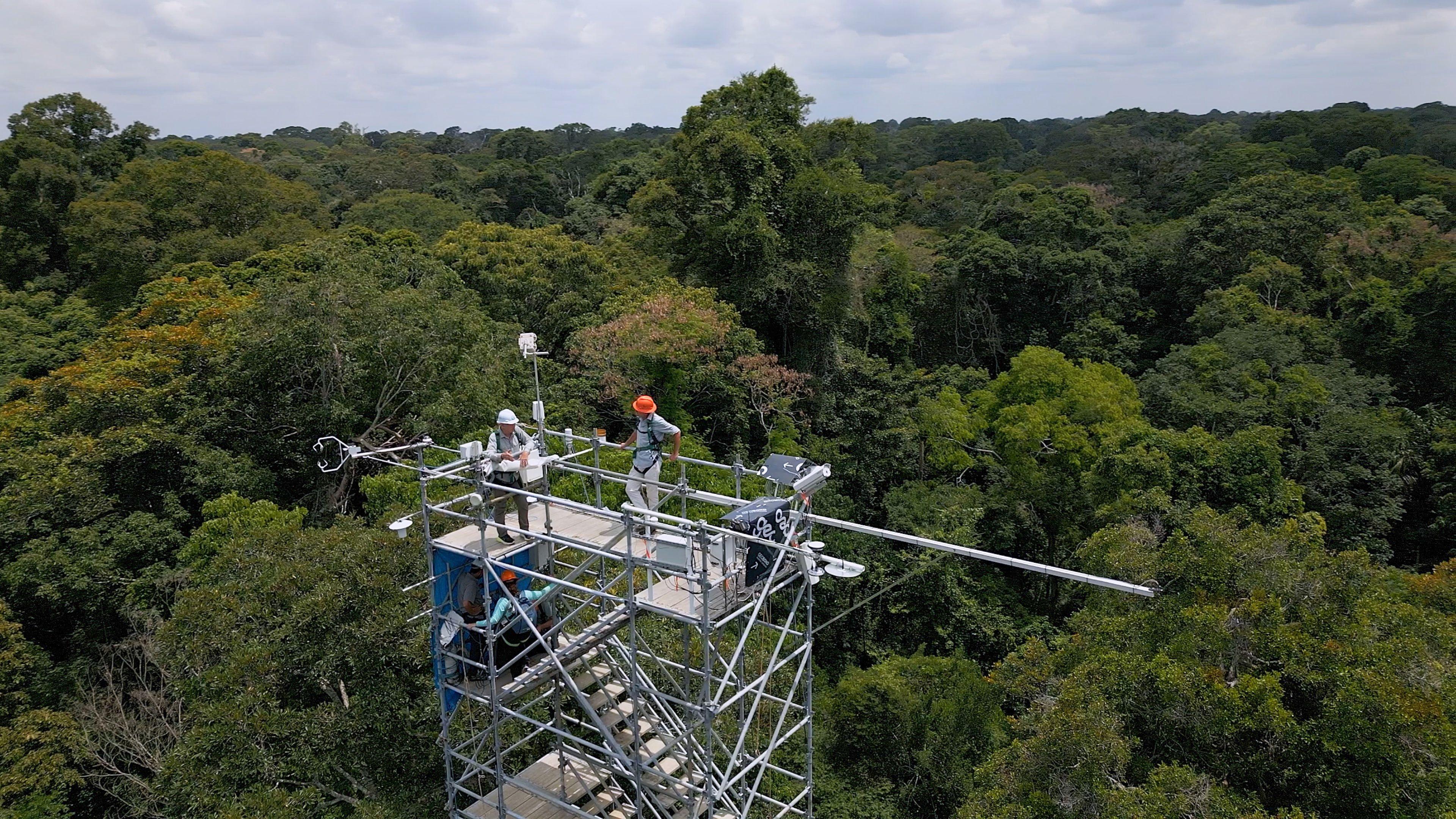 A scientist and Justin stand on top of a tower which stands above the rainforest. The tower is a skelton structure made up of steel pipes and stairs.