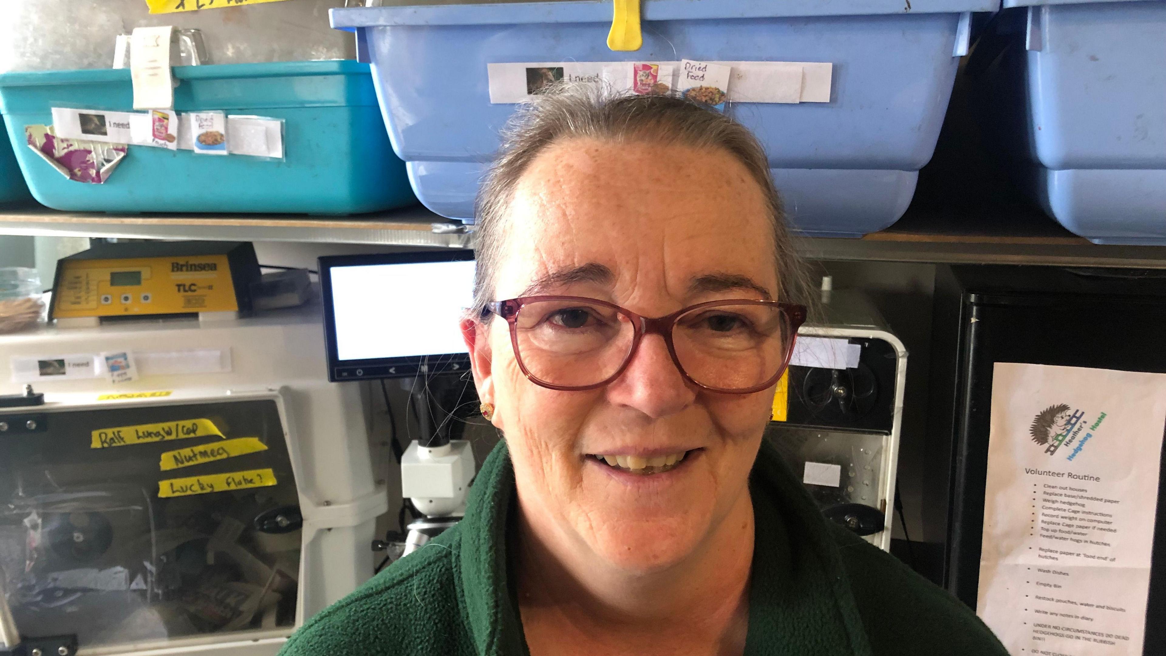 Lucy Hubbard has dark swept back hair, and dark rimmed spectacles on. Behind her are plastic crates for housing hedgehogs and a microscope and incubator for baby hogs.