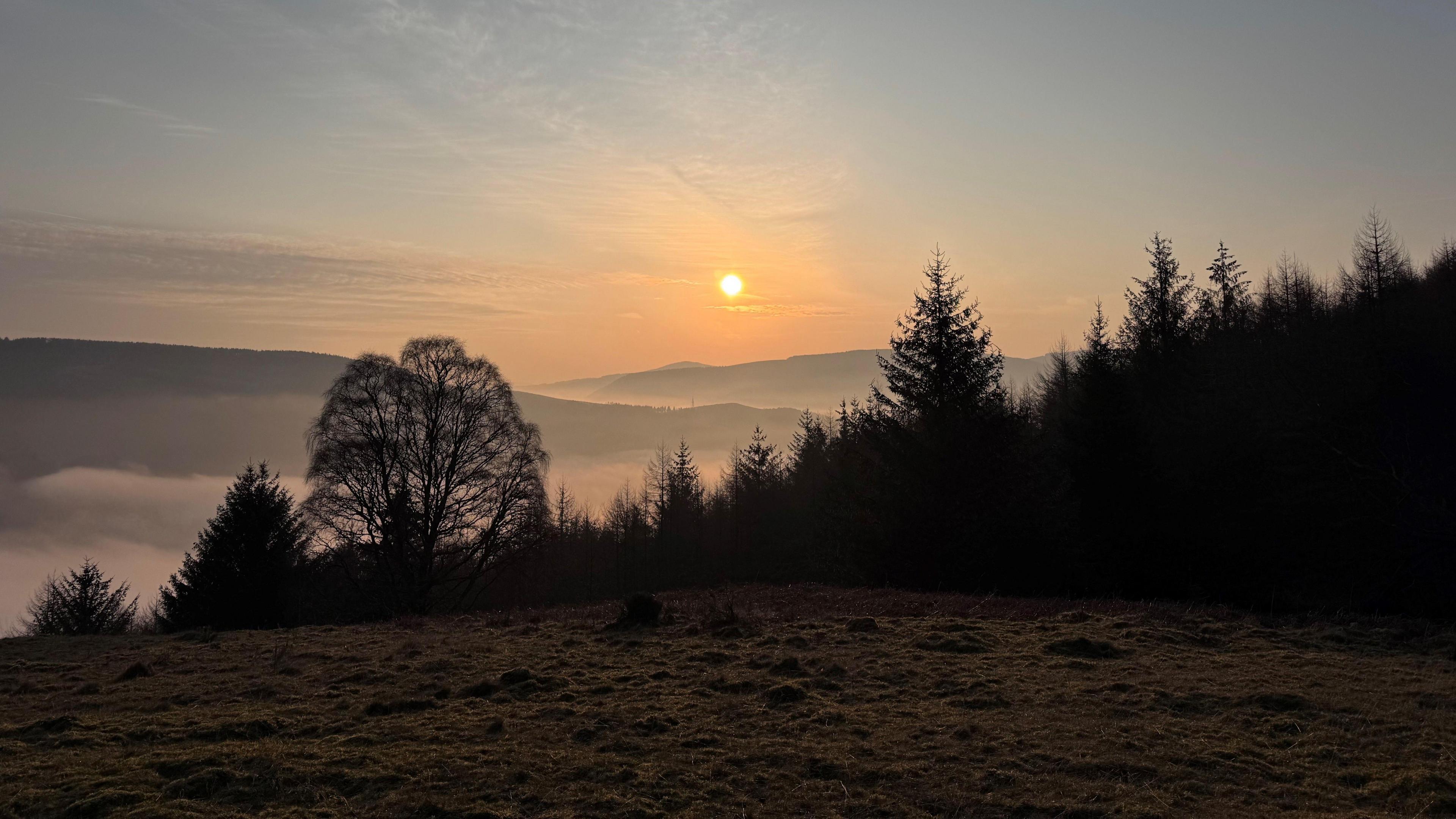 The sun rising over a forest. The sun is in the centre background of the image. It is a small orange ball. The sky around it is also orange and golden and is against a blue and grey background. The outline of some hills are below it. In the foreground is a dark forest. 