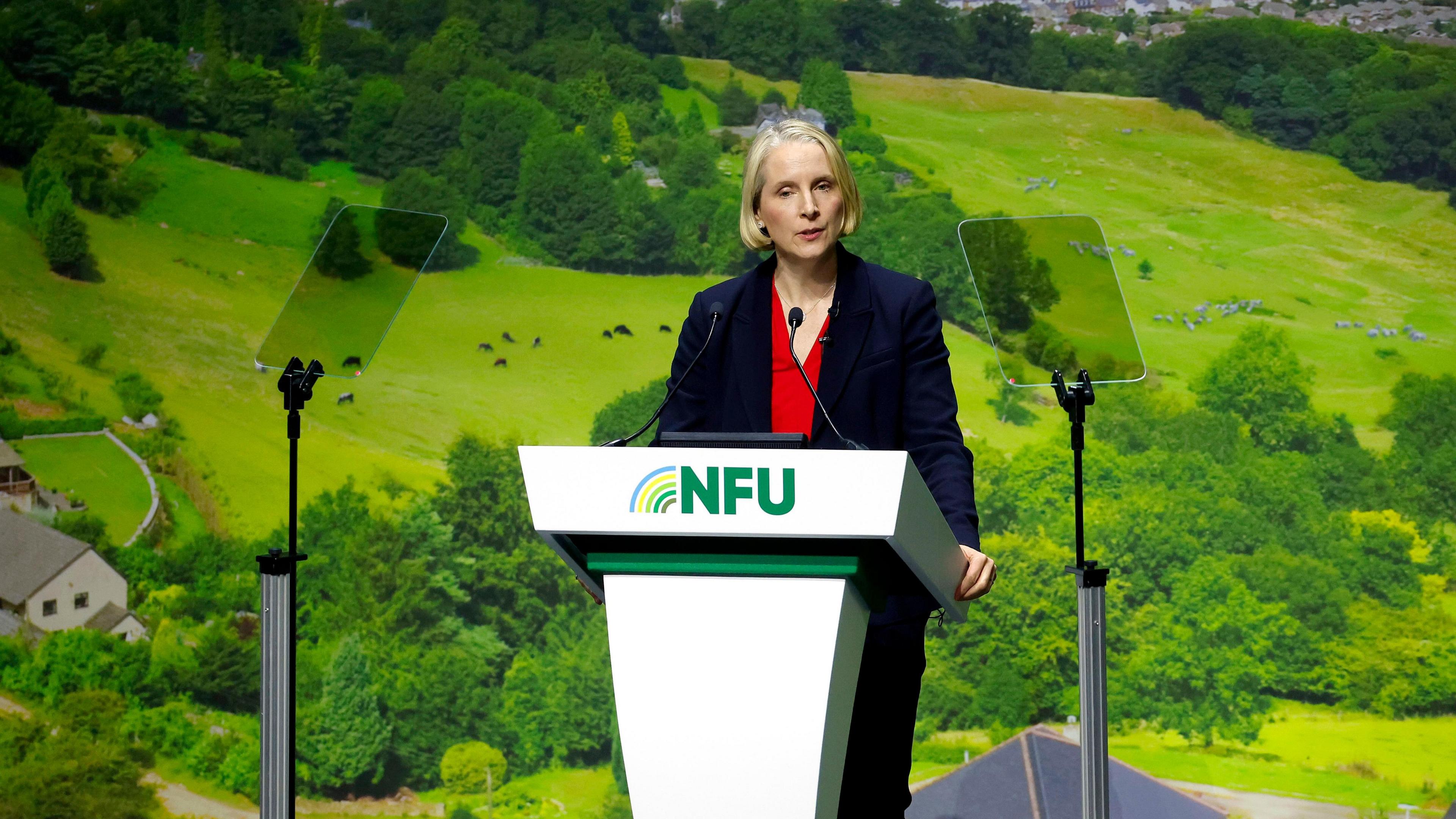 Emma Reynolds stands on stage, at a lectern, which carries the NFU logo, addressing the audience. There is a background of rolling bright green hills.