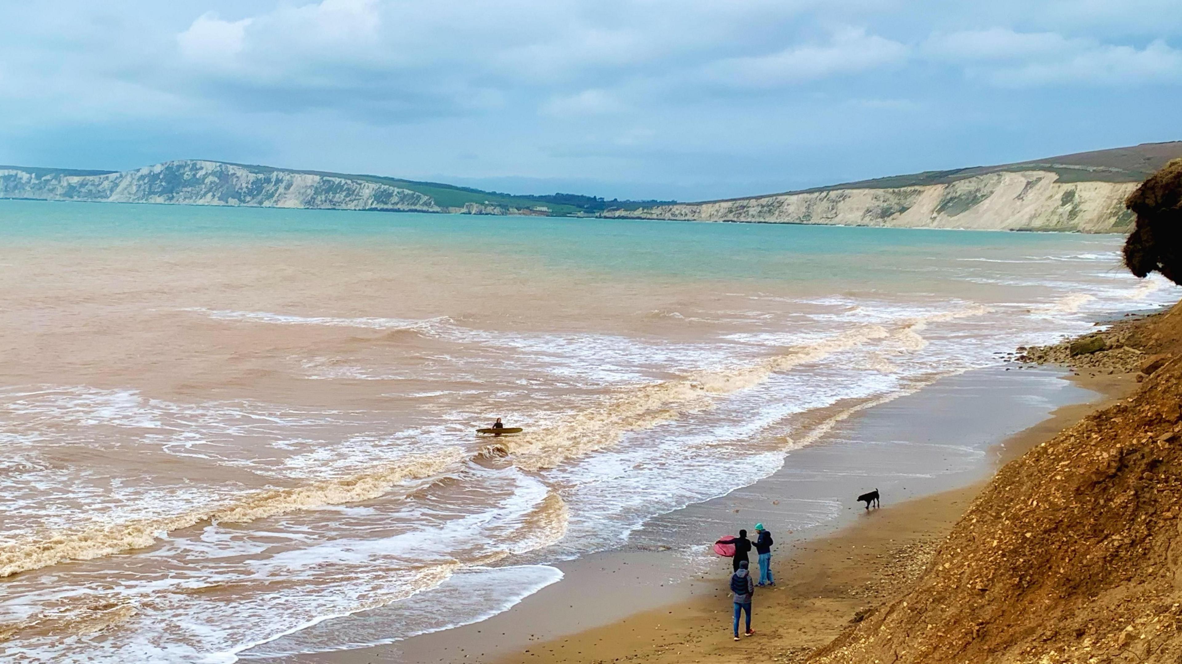 A person stands in the water with a surfboard, a few metres from the beach. Three people and a dog watch on. Coastal cliffs are in the background.