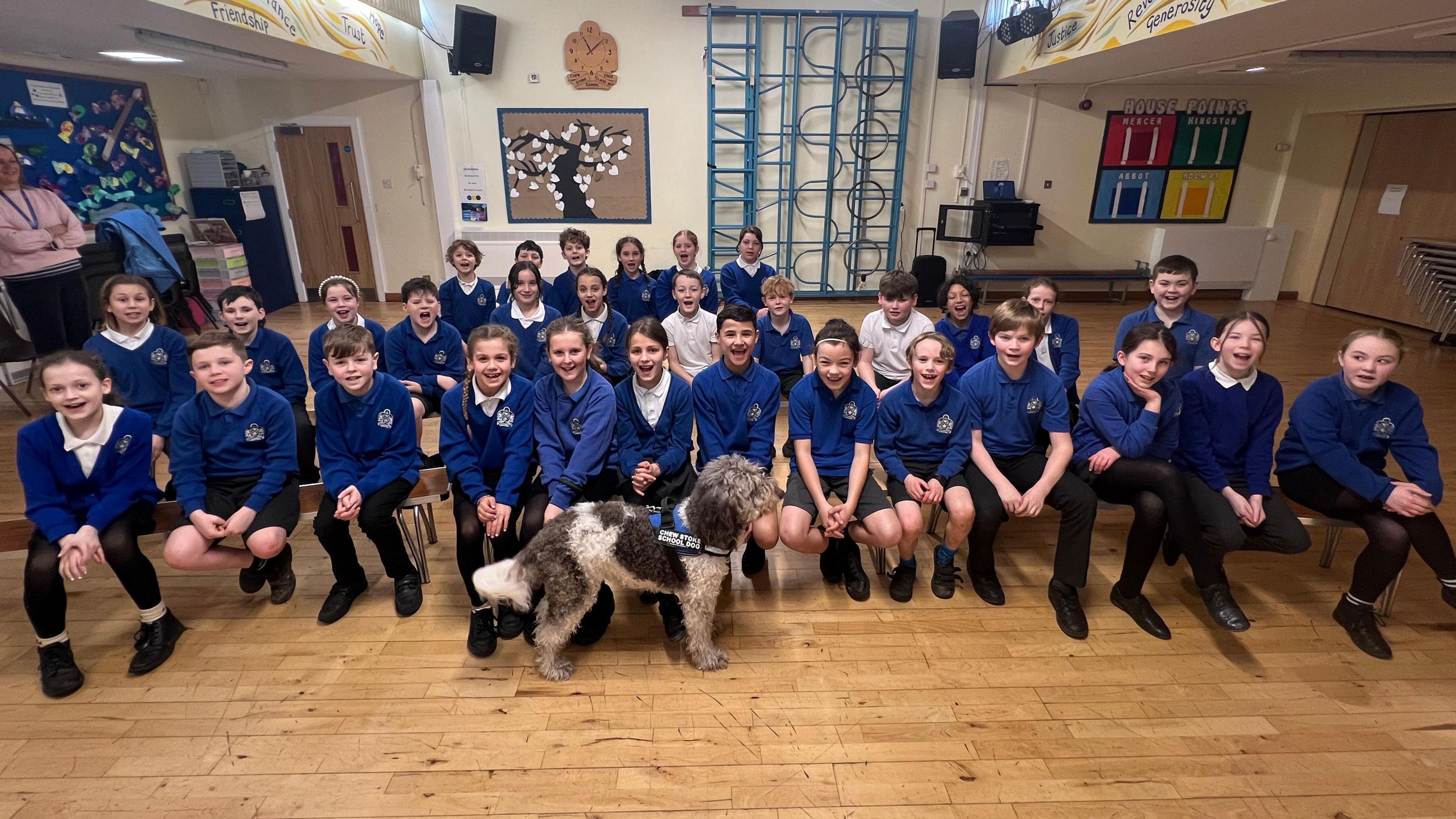 A large group of young pupils at the primary school, sitting on wooden benches in a school hall. They are wearing black trousers or skirts and dark blue jumpers. There is a grey and white school dog standing in front of them. In the background there are artistic displays and a blue climbing frame is folded away against the wall.