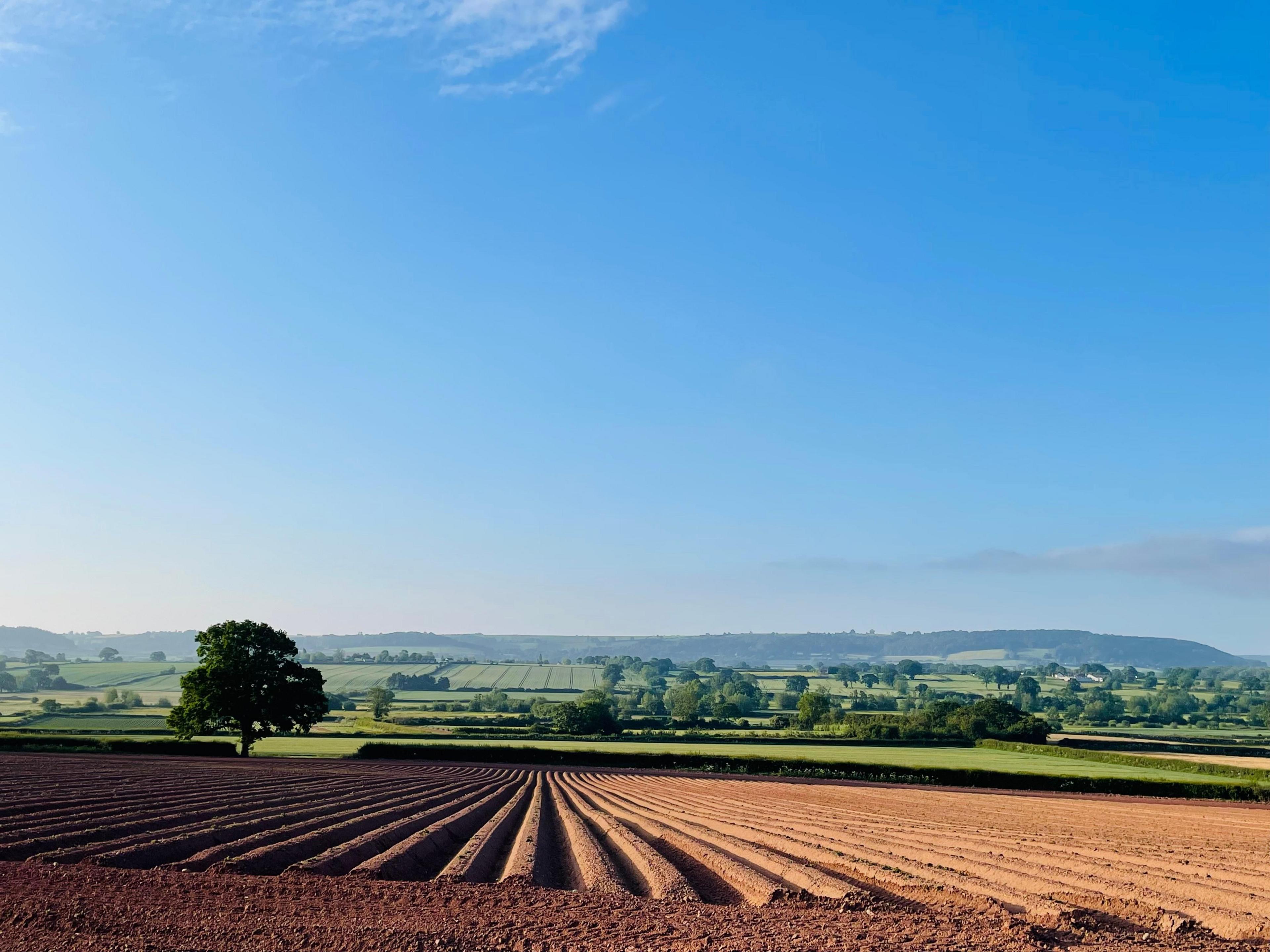 Weobley