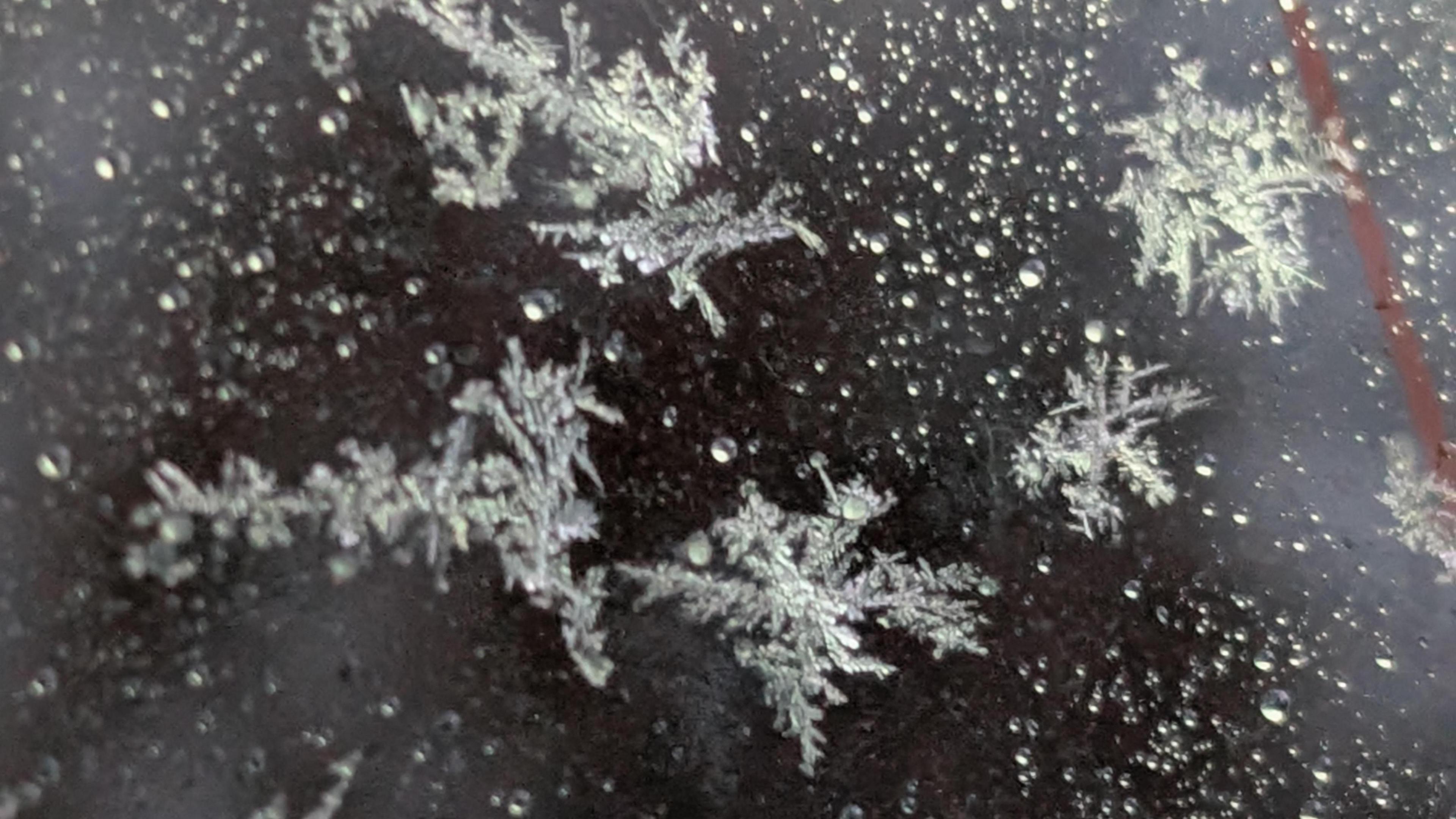 A close up of snowflakes on a glass pane. 