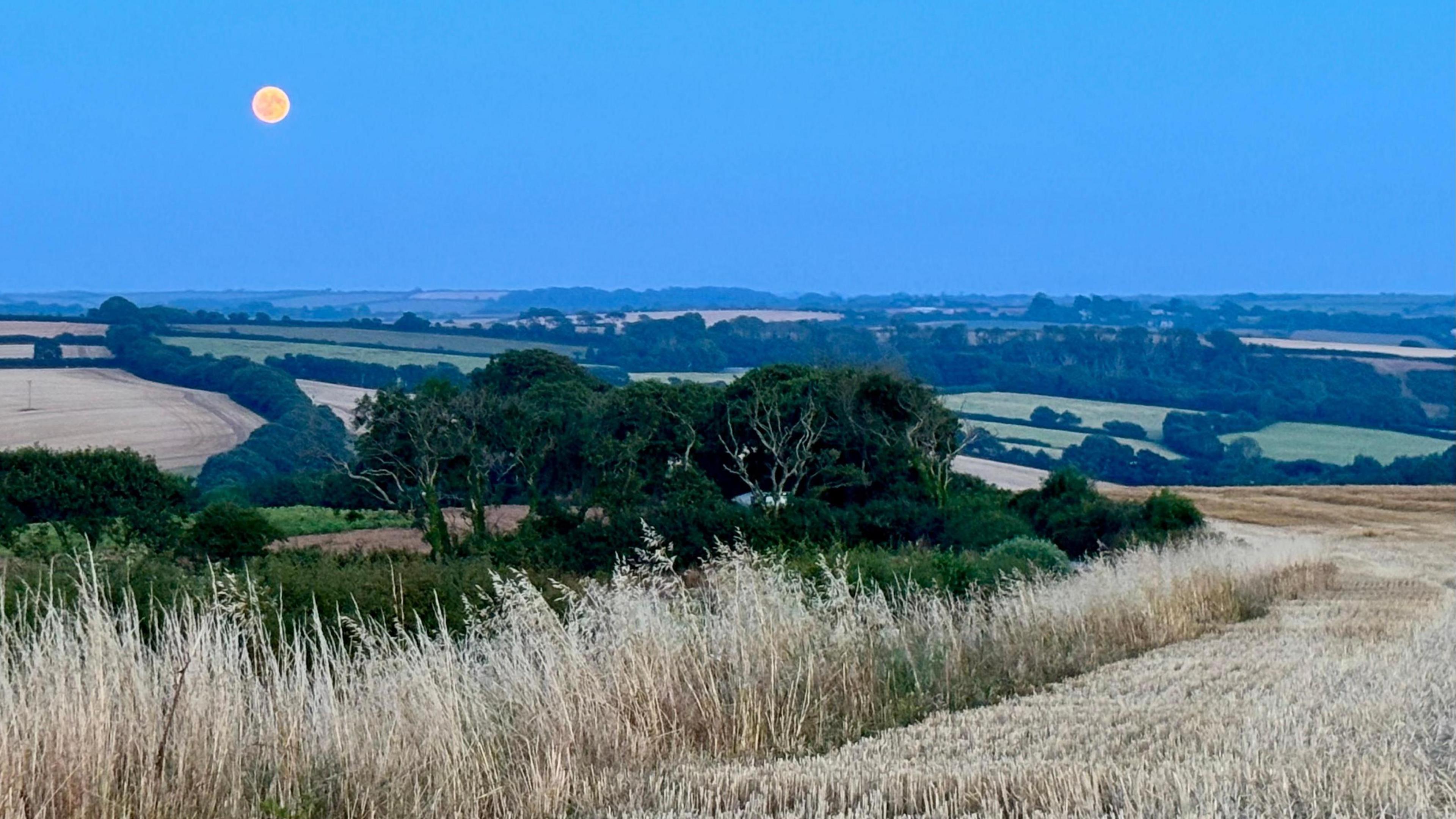 Harvested fields and hedgerows stretch across the Cornish countryside at dusk, with a large orange full moon rising above the horizon beneath a deep blue sky.