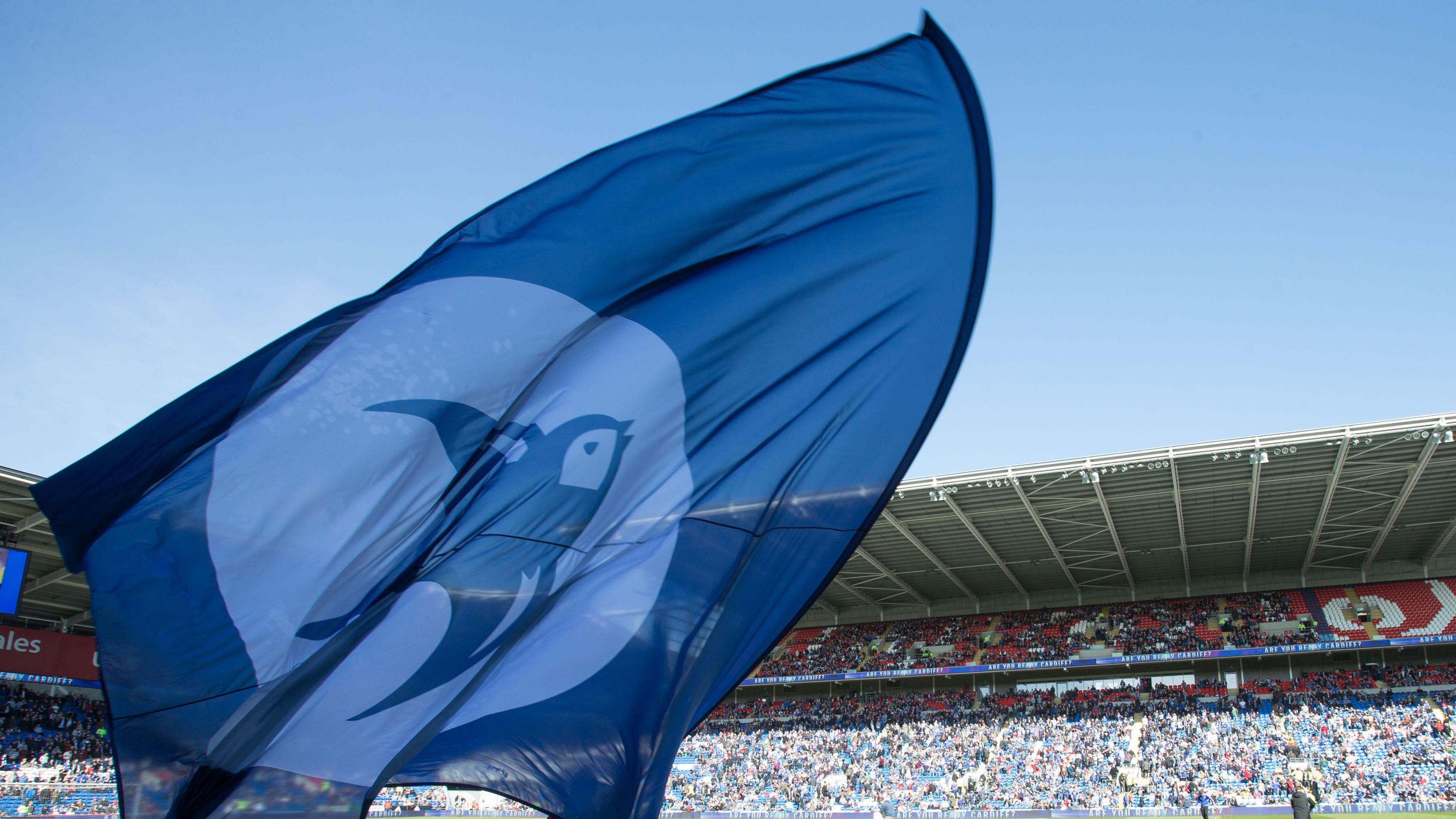 Some fans want a change of ownership at Cardiff City