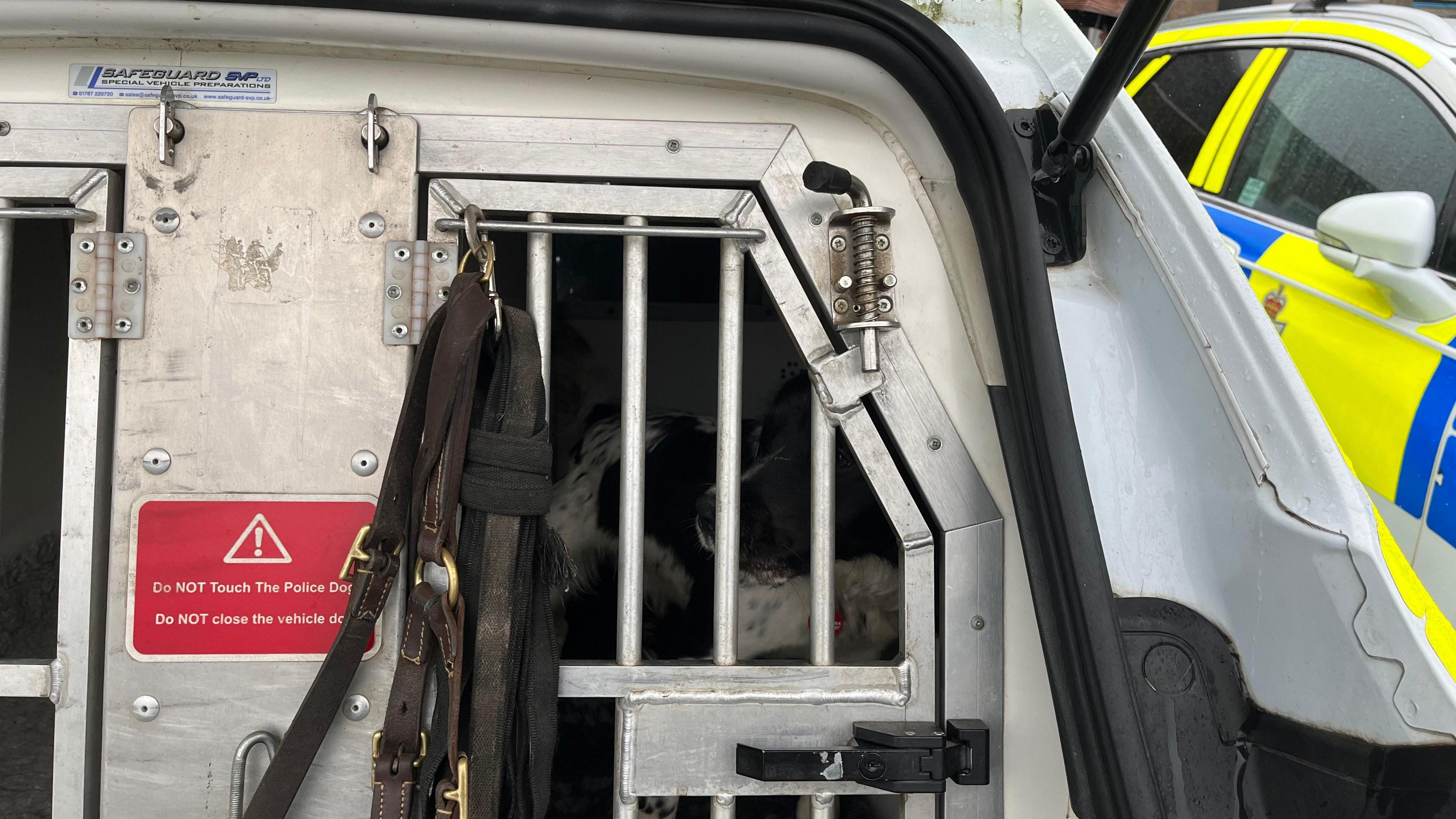 Dog in the back of an adapted car, which has two separated spaces for animals with secure doors