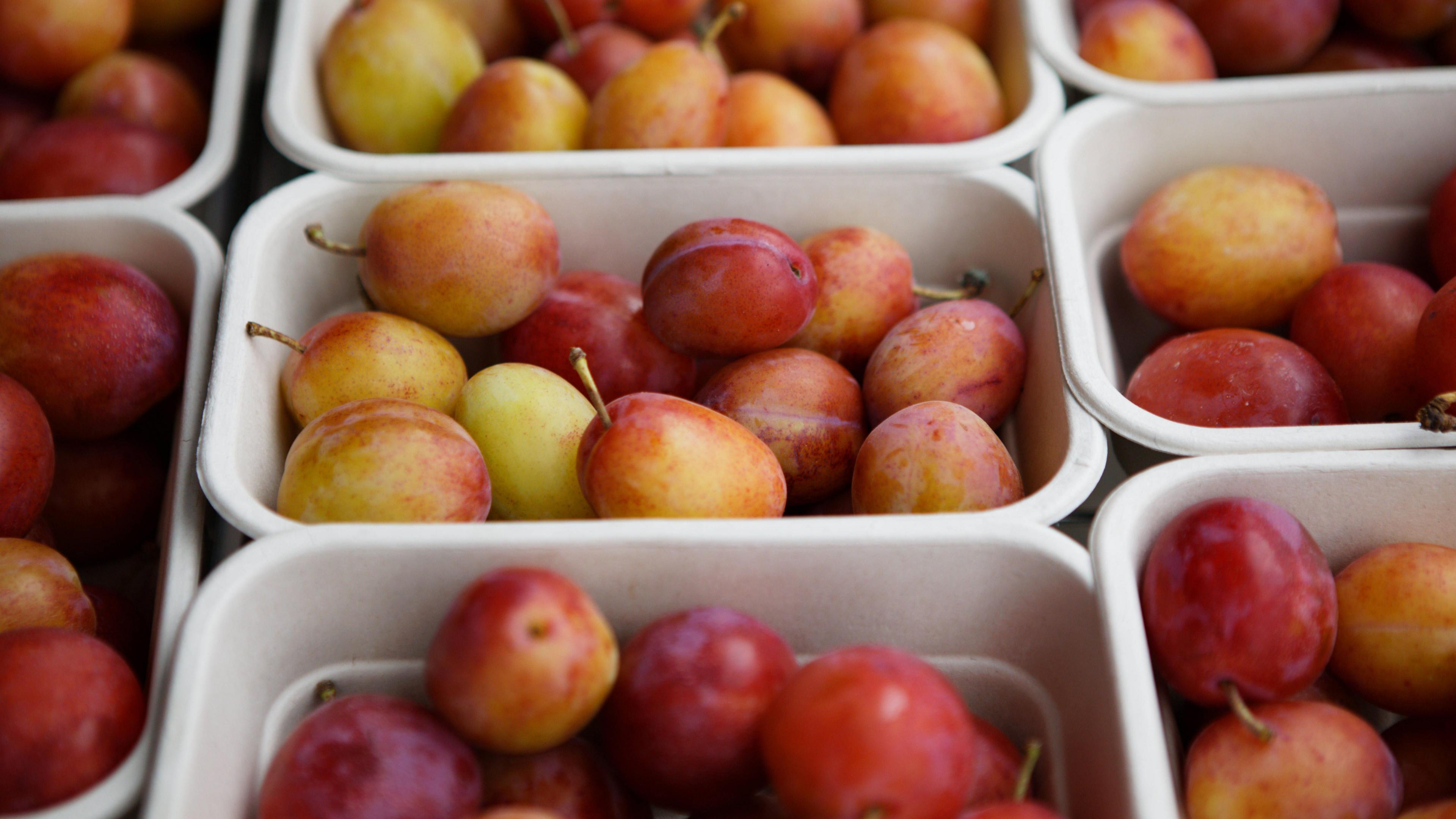 Cream coloured bowls holding yellow and purple coloured plums