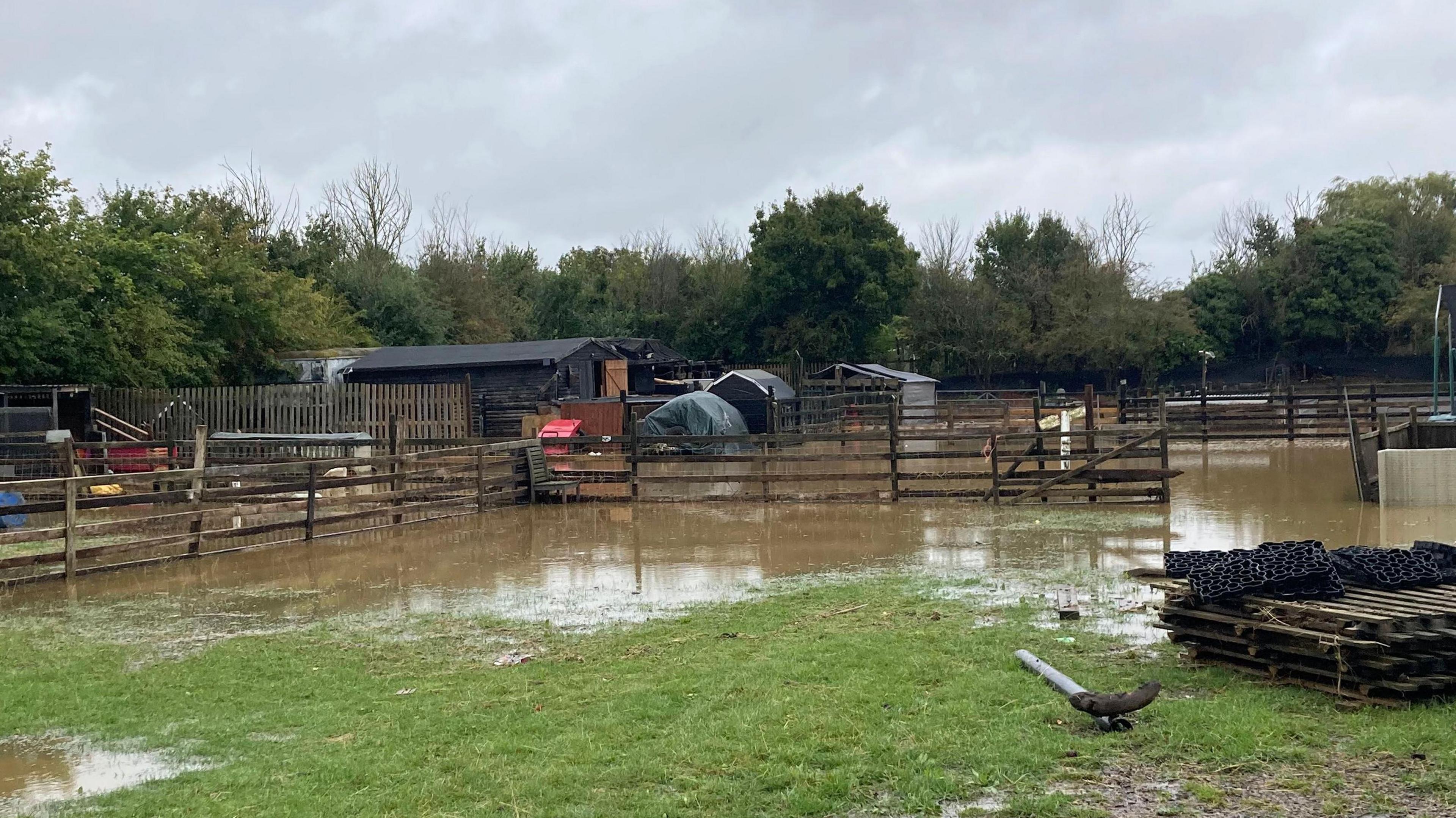 A general view of Joanna Johnson's smallholding. It can be seen flooded in parts. Pens and animal buildings can be seen dotted around.