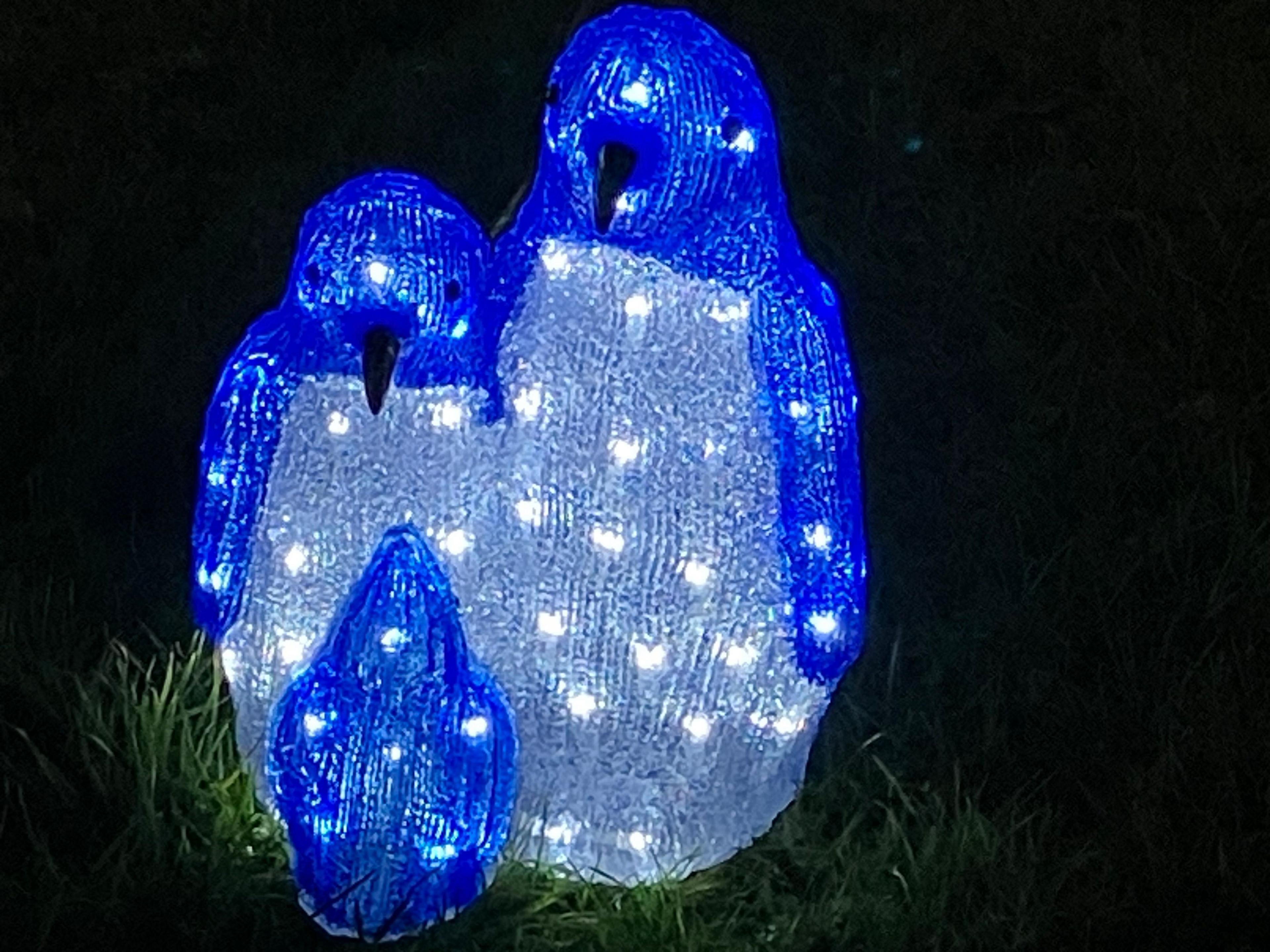 Penguin lights