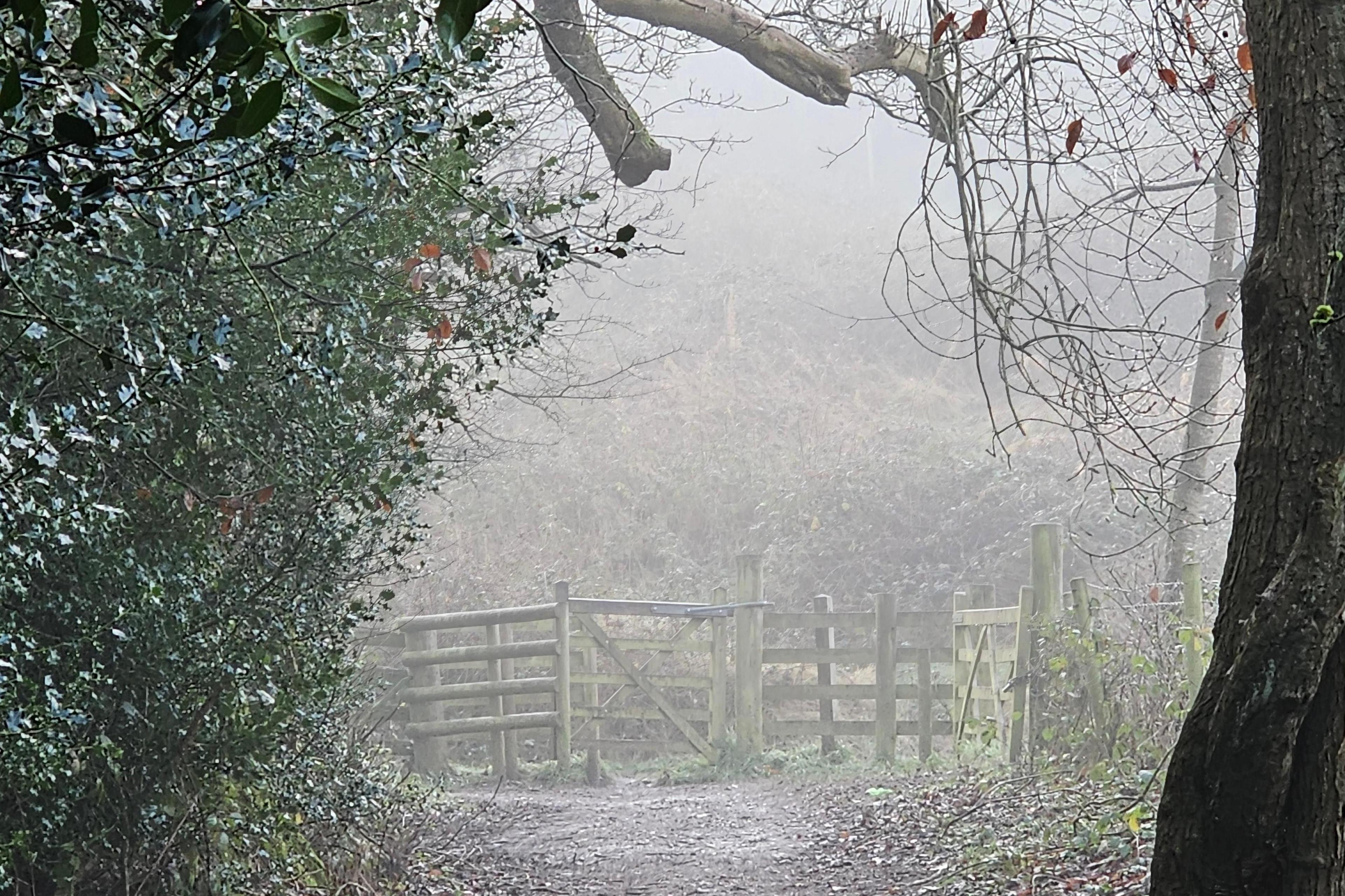 A footpath leads up to a wooden gate for walkers. The track is flanked by a hedge on the left and a tree trunk on the right 