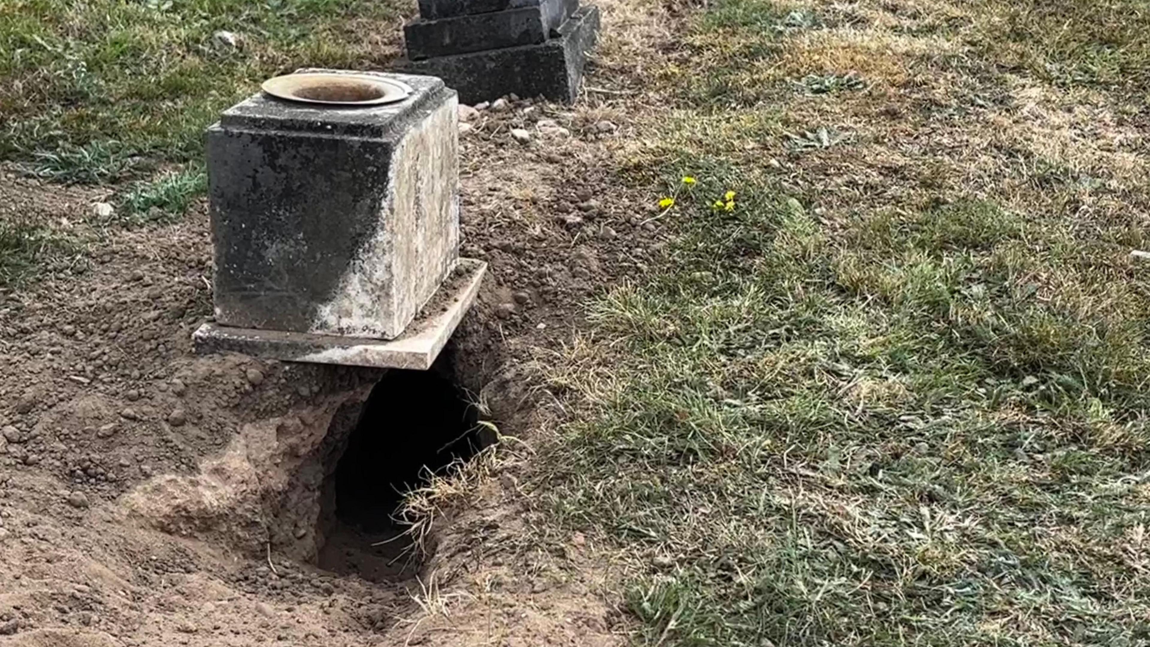 Badger hole under a memorial box in a cemetery