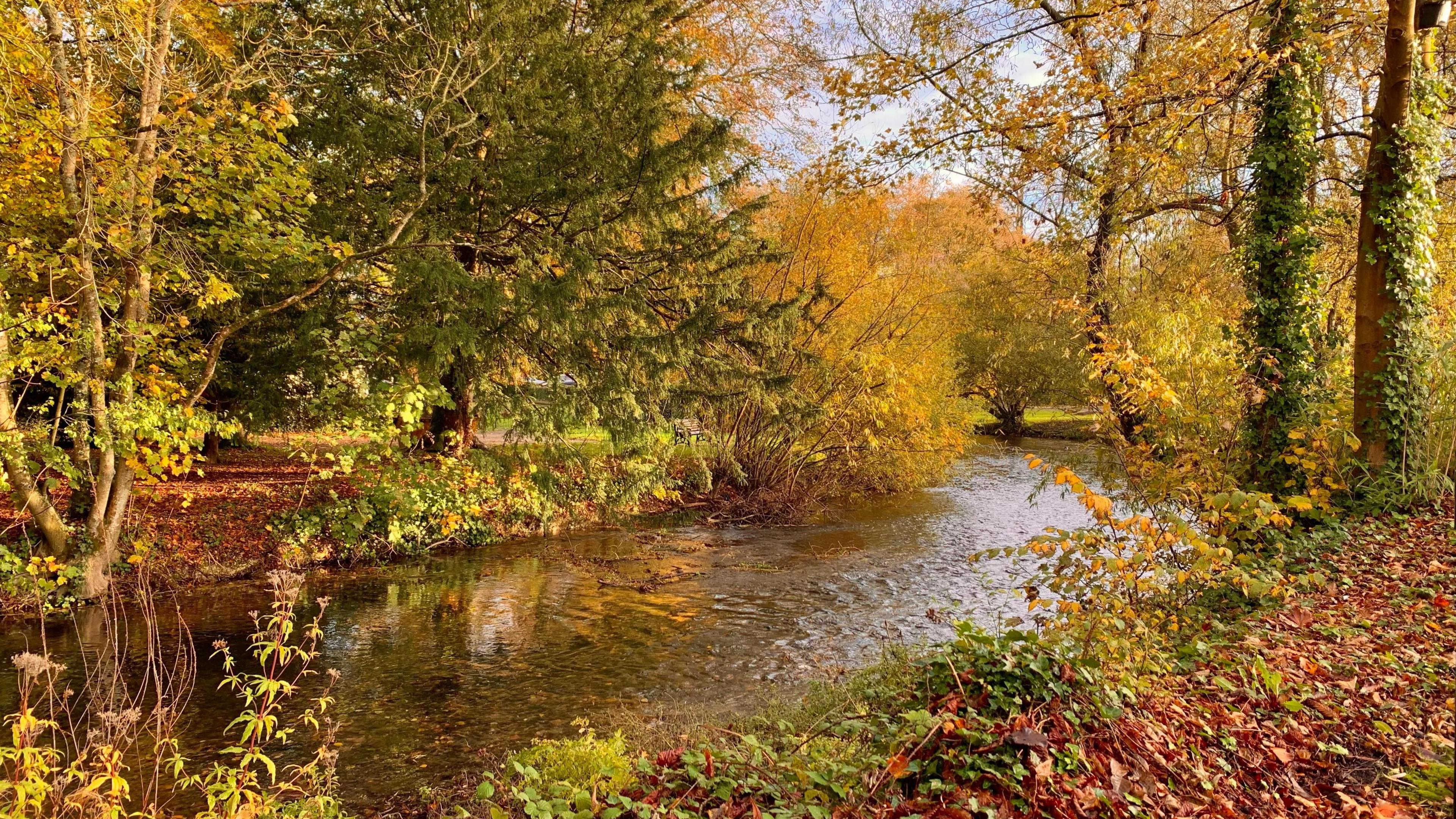 A beautiful river and autumn scene with brown leaves on the ground.